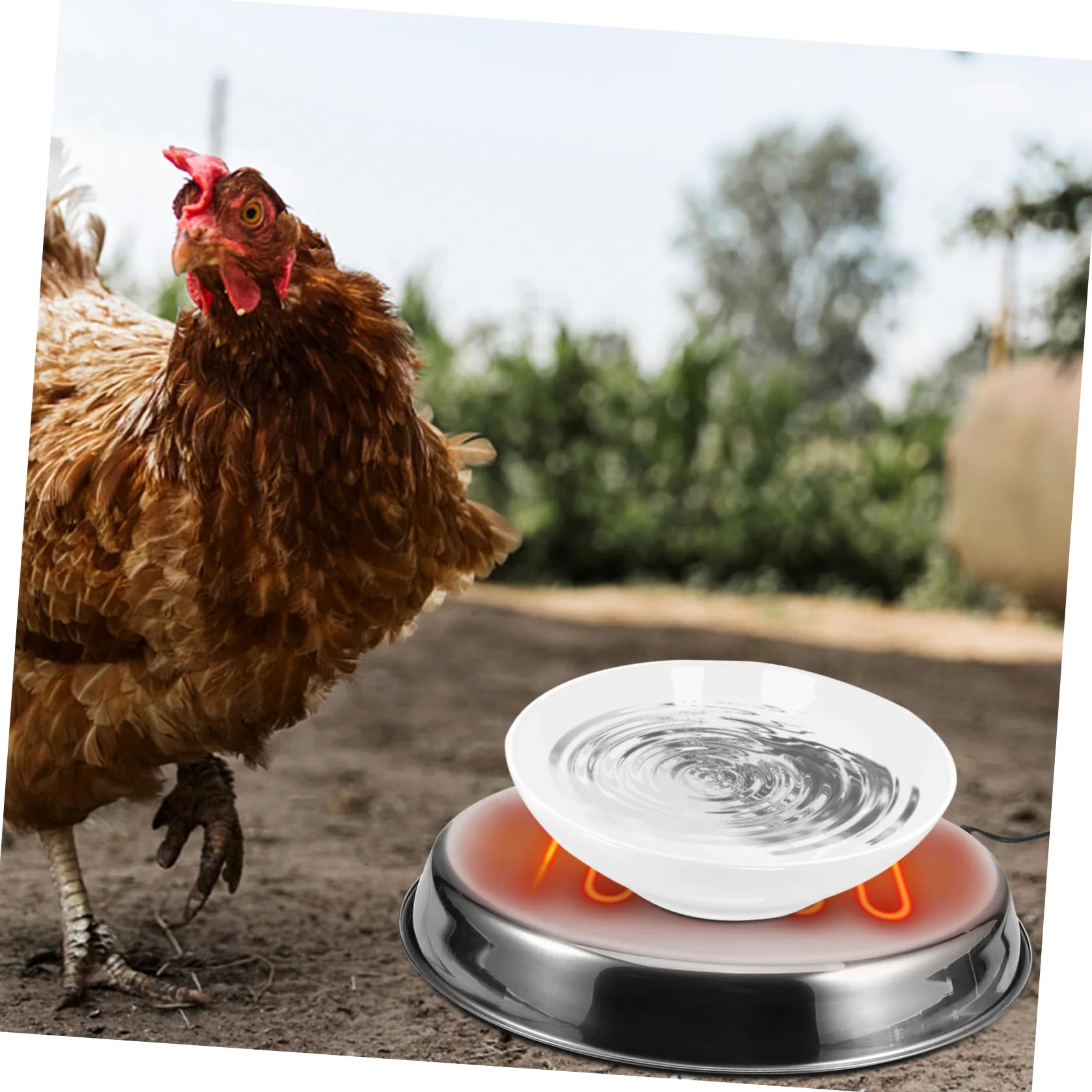 Base Calefactora para Bebedero de Aves de Corral en Invierno Acero Inoxidable y Calor Constante para Patos y Pollos Eu Plug 220-240v