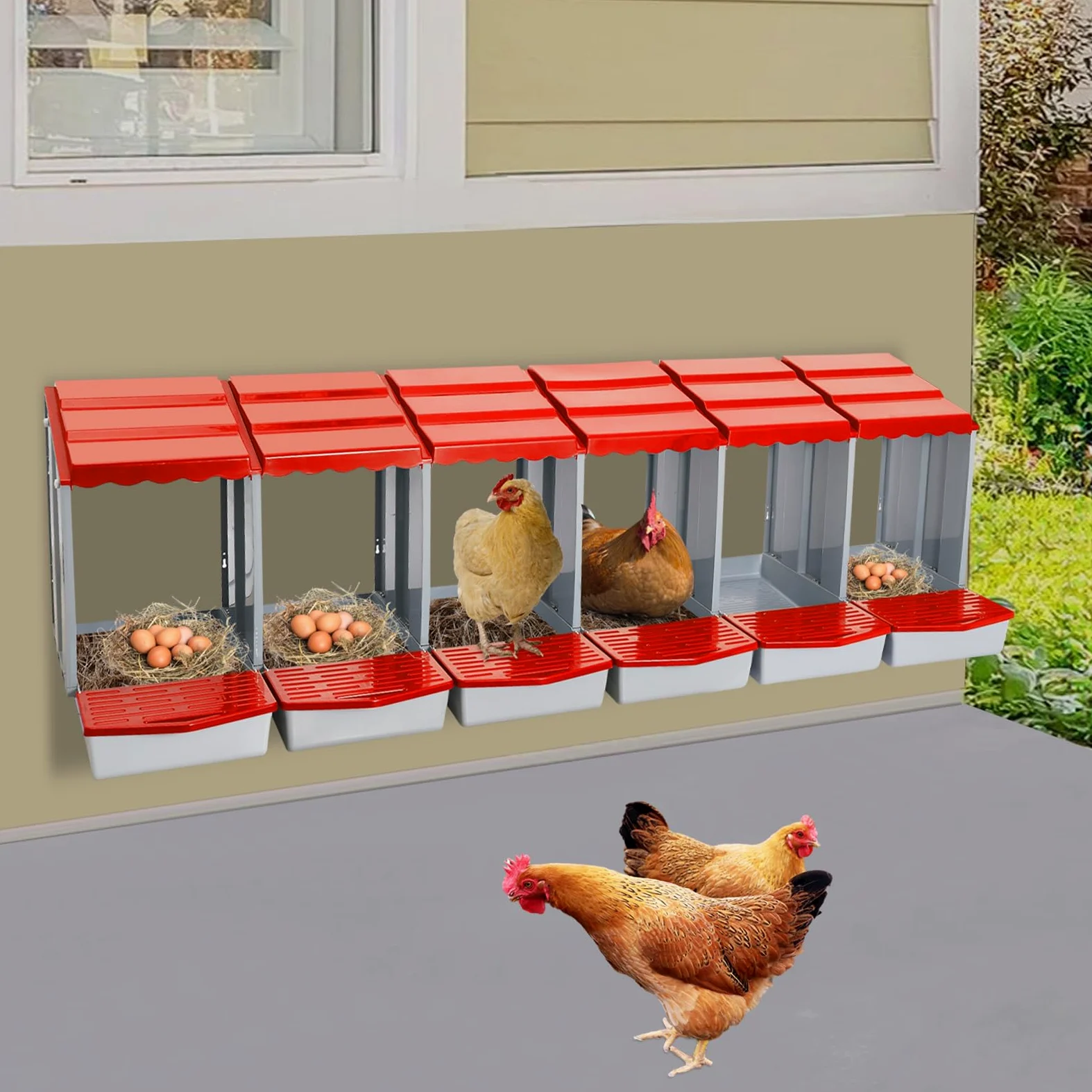 Nido de pollo con 6 cámaras, nido de plástico para montaje en pared, nido de aves de corral para huevos puestos, fácil limpieza (rojo)