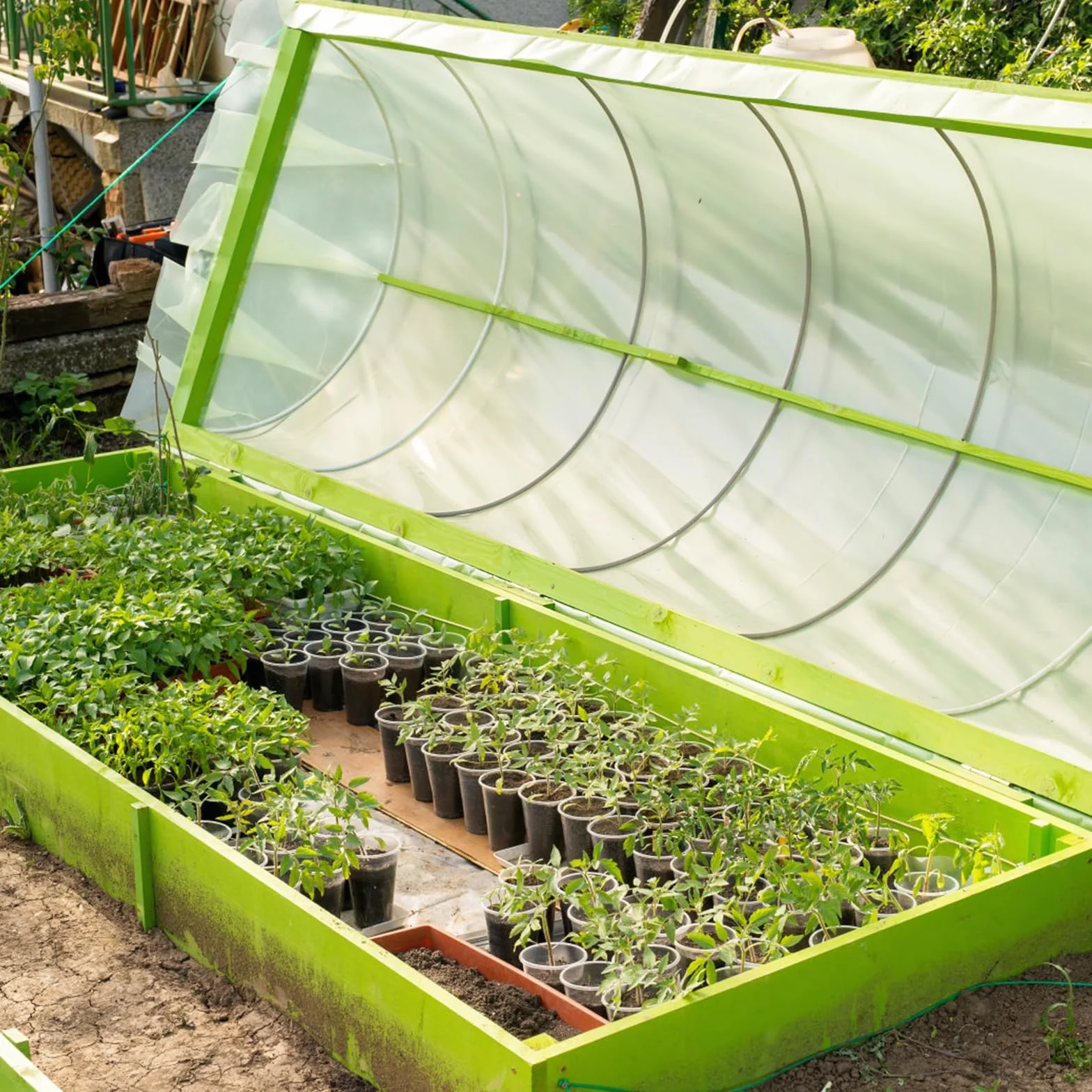 Película de Polietileno Extra Gruesa Transparente 2 x 4m 780g, Impermeable, Resistente al Desgarro para Jardinería y Protección