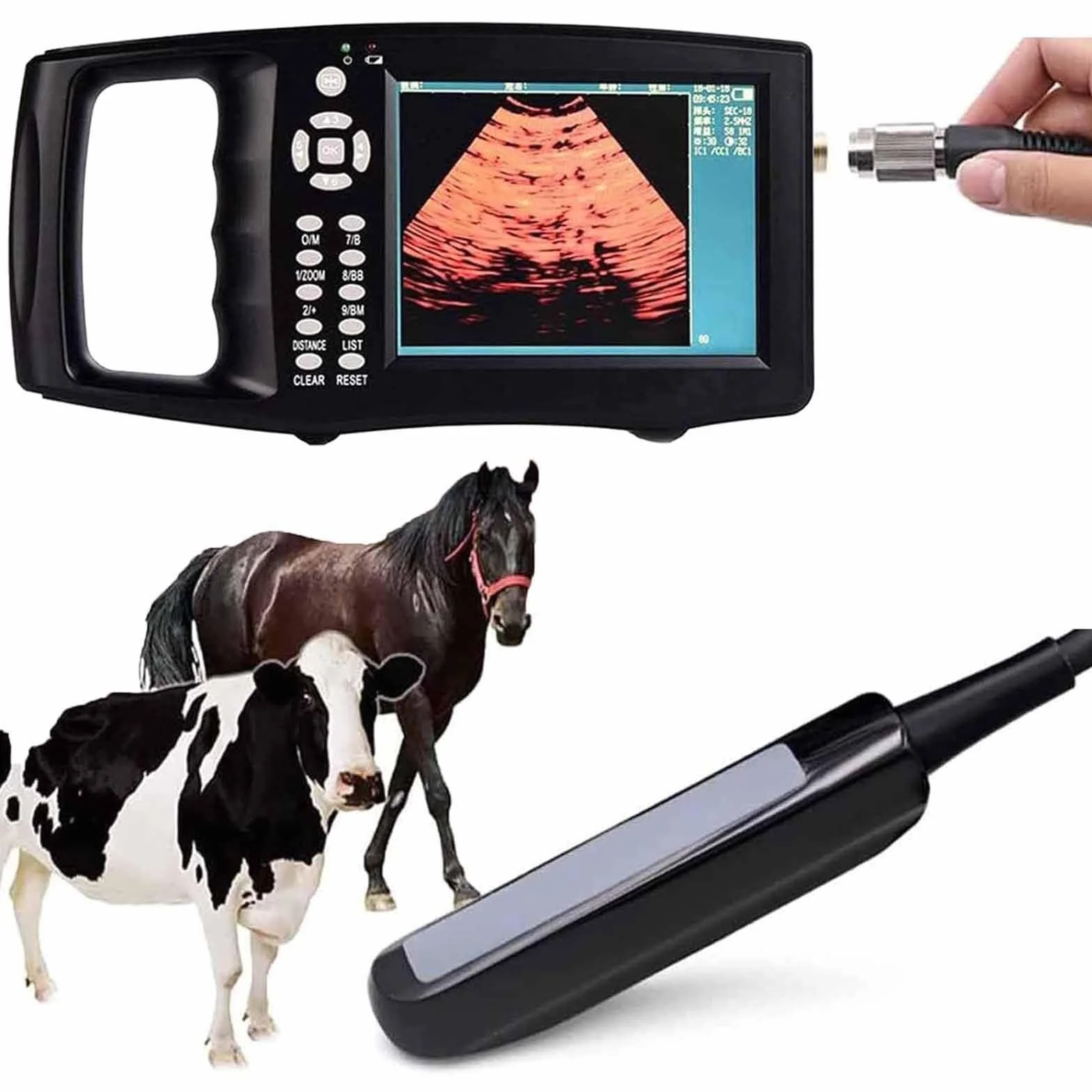 EscáNer De Ultrasonido PortáTil para Veterinaria con 6,5 MHz Rectal Sonda,Modo De VisualizacióN (B,M,BM, B+B, 4B),Pantalla HD 5,6 Pulgadas,para Ganado Vacuno,Equino,Camello en Animales