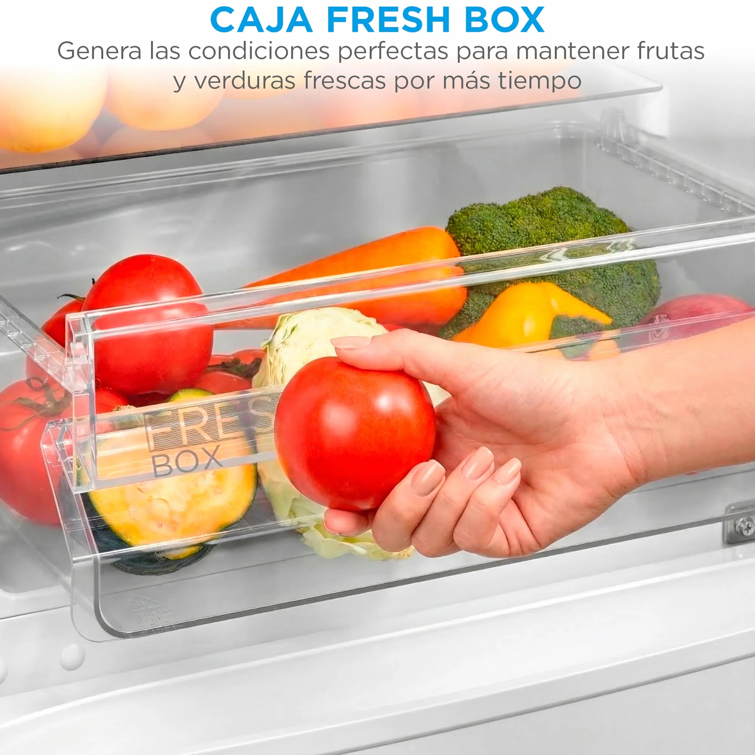 Midea Frigorífico Combi Blanco 262 L 55x177 cm Congelador 65L Low Frost Nevera Combi