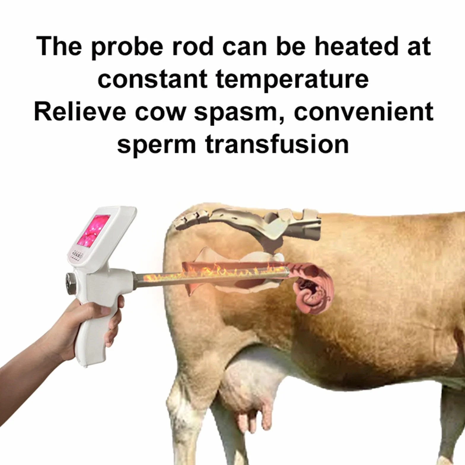 Kit Profesional De Inseminación Artificial con IA para Bovinos - Pistola De Inseminación Visual Y Herramientas Veterinarias para Una Cría óptima del Ganado