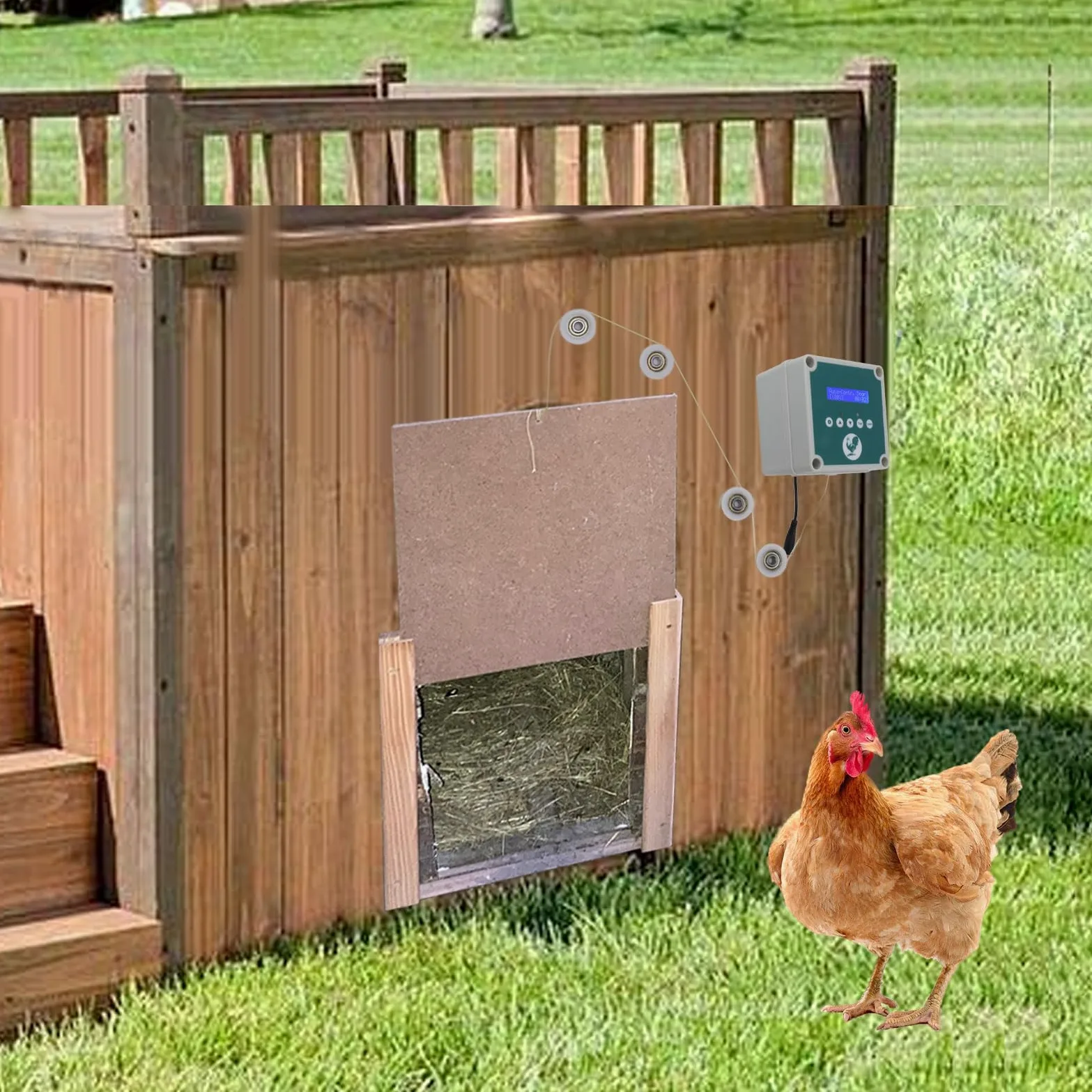 Controlador Automático de Puerta de Gallinero, Kit Eléctrico, Control Remoto con Pantalla LED, Protege Las Aves de Corral, Pato, Ganso (Enchufe de la UE)