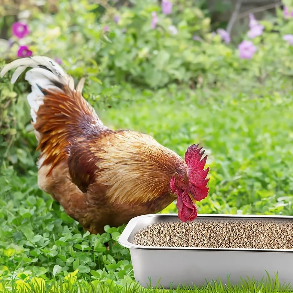 Alimentador de pollo de gran capacidad, equipo de riego de ganado de acero inoxidable para pollos, patos y cerdos, accesorios para gallineros