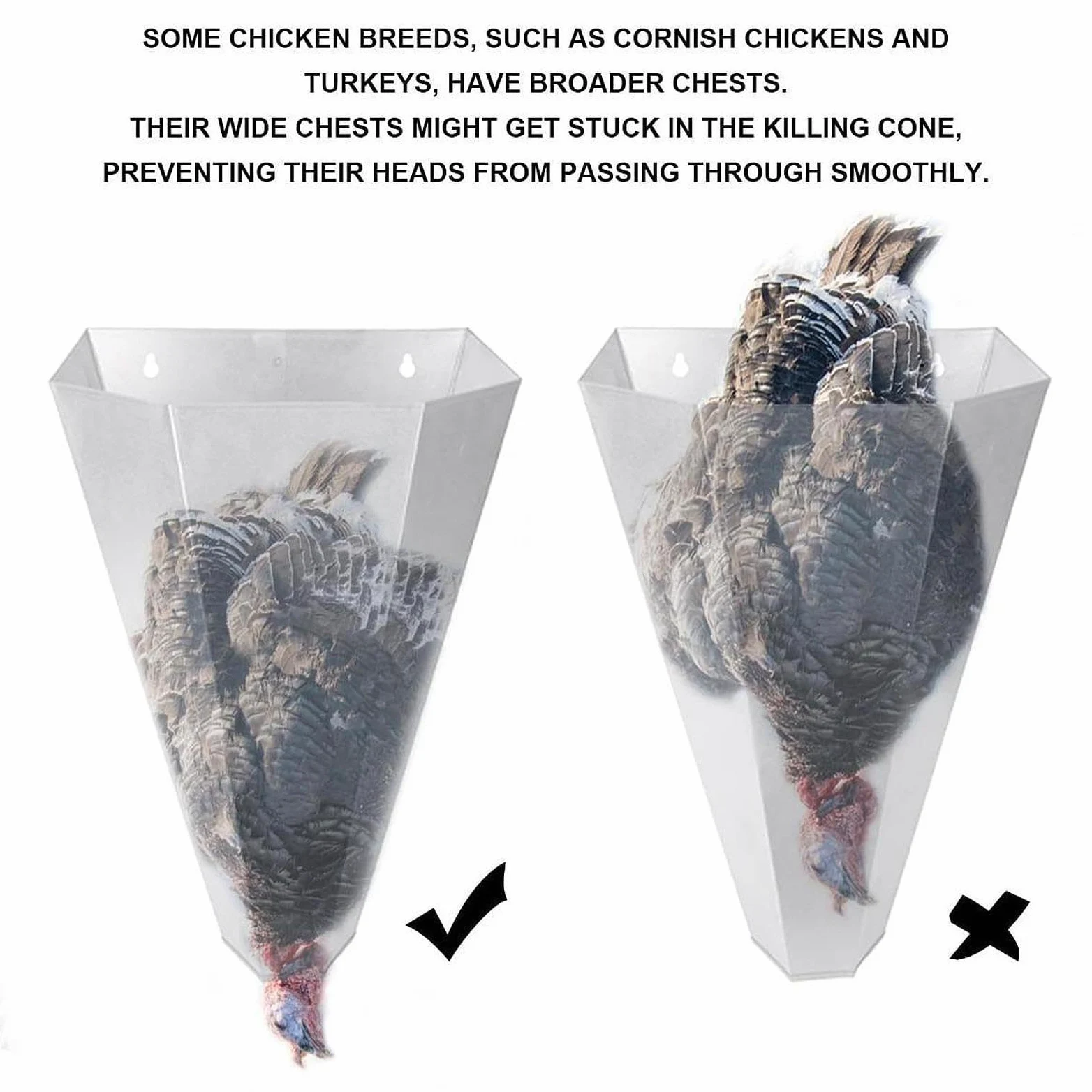 Cono para Aves de Corral, Estable, Versátil, para Gansos,