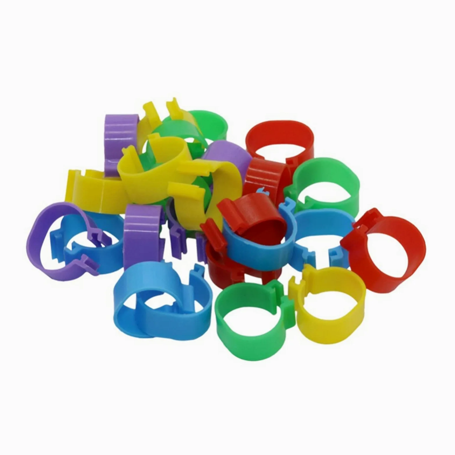 Bandas de identificación de aves de corral, anillos de plástico duraderos, paquete de 100 unidades para pollos y palomas, fáciles de usar y coloridos, ideales para pájaros de granja y patio trasero