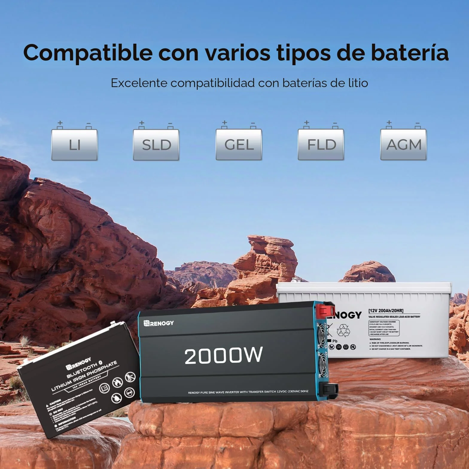 Renogy Inversor 12V 220V Onda Pura 2000W/4000W Convertidor DC AC con Mando a Distancia 2 Tomas UE