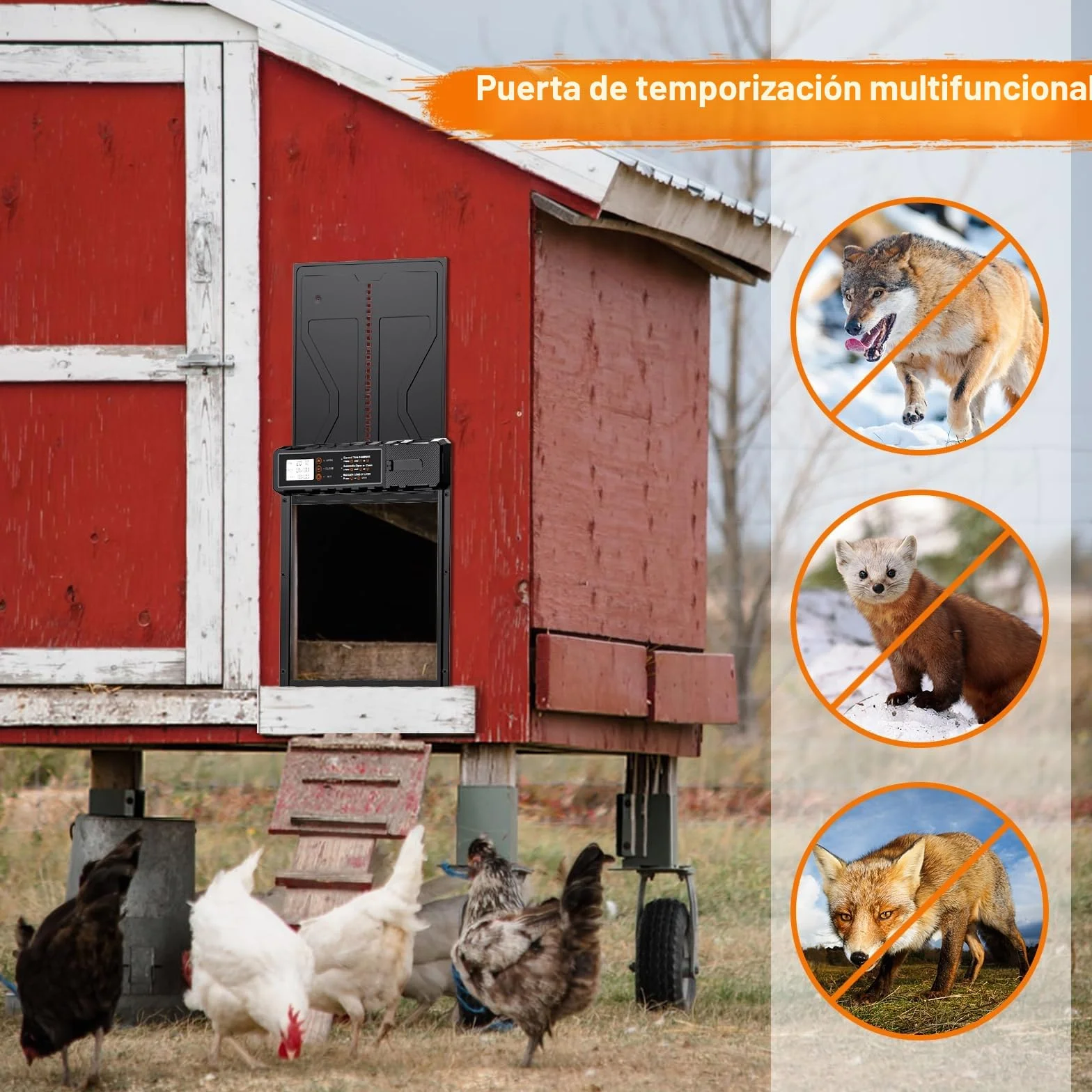 Puerta Gallinero Automatica con Pantalla, Anti-atrapamiento, Batería, Temporizador