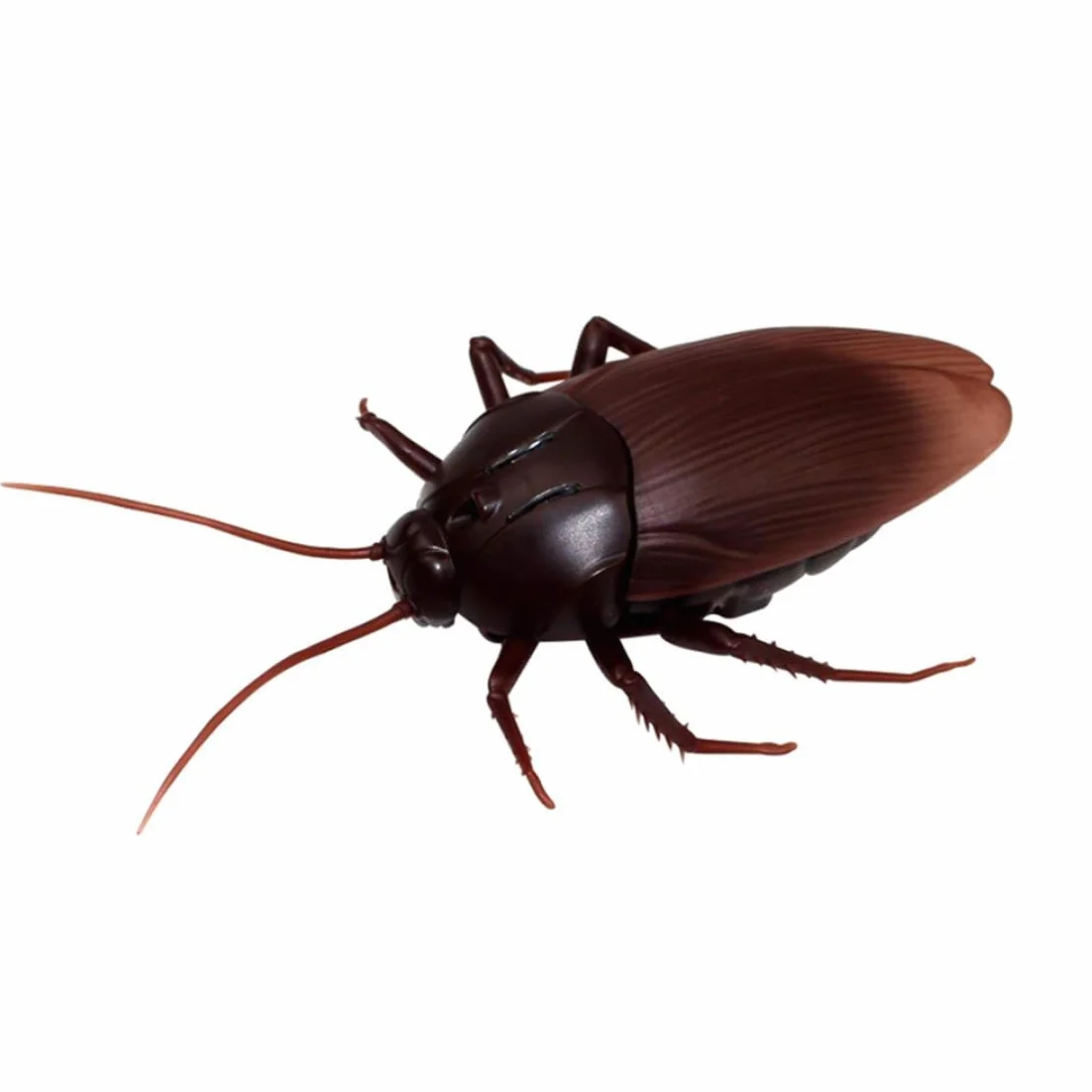 Cucaracha eléctrica RC Control Remoto Infrarrojos para niños Halloween
