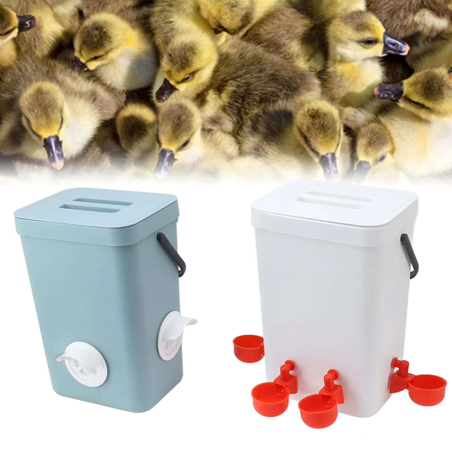 Dispensador de Agua para Pollos, Bebedero Automático para Aves de Corral, Bebedero Automático para Pollos, Bebederos Automáticos para Pollos, Convenientes para Que Beban y