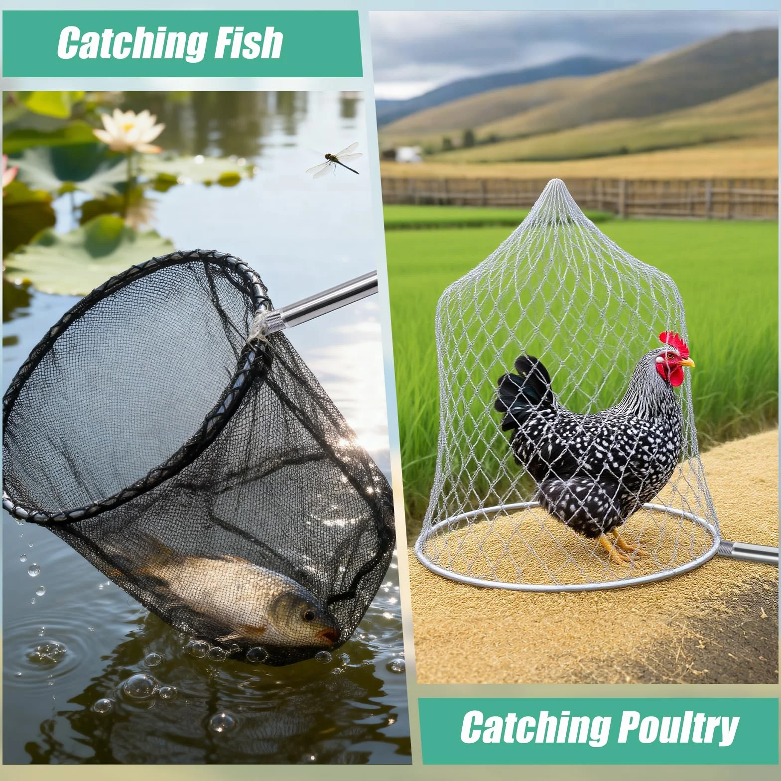 Redes para pollos, 2 unidades, telescópicas para atrapar pollos, red de pesca para aves de corral, barra retráctil de 80 – 240 cm, atrapador de aves para pollo, patos, gansos, pavos, gatos, pájaros