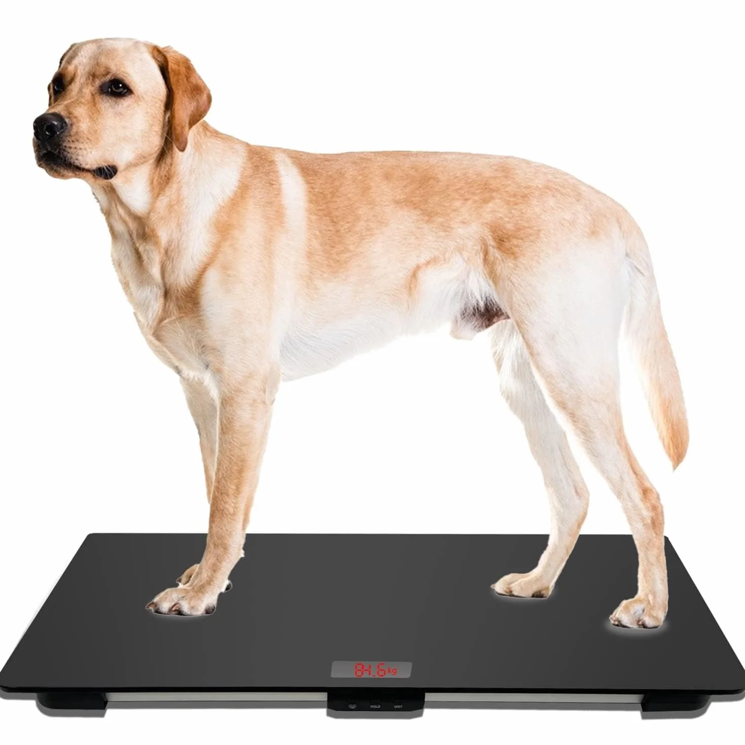 Báscula veterinaria grande para perros de 80 x 50 cm con alfombrilla antideslizante y plataforma para mascotas. Peso: 100 kg, precisión de 10 g, función de retención, talla L, color negro.