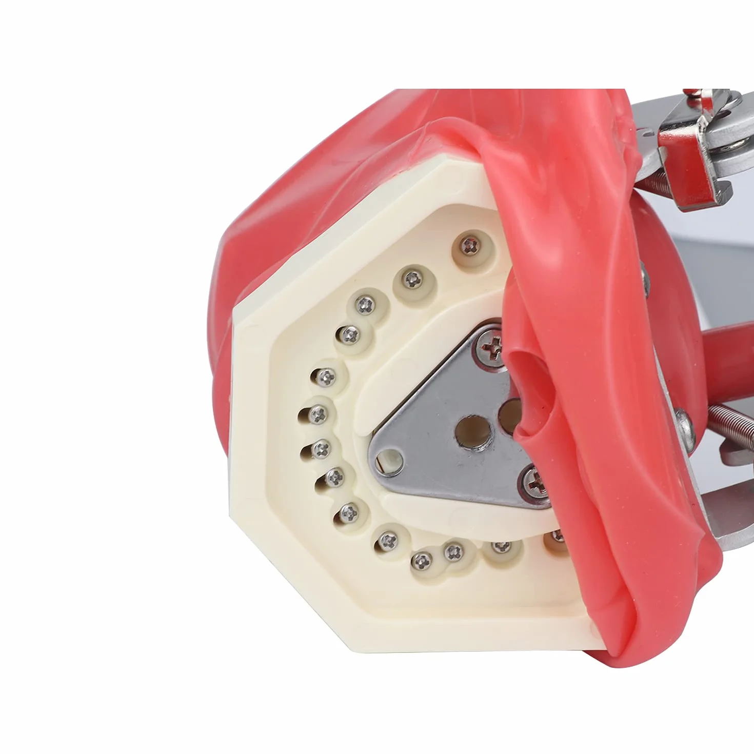 Modelo manual dental de la cabeza del fantasma del simulador del maniquí para el reposacabezas dental de la silla