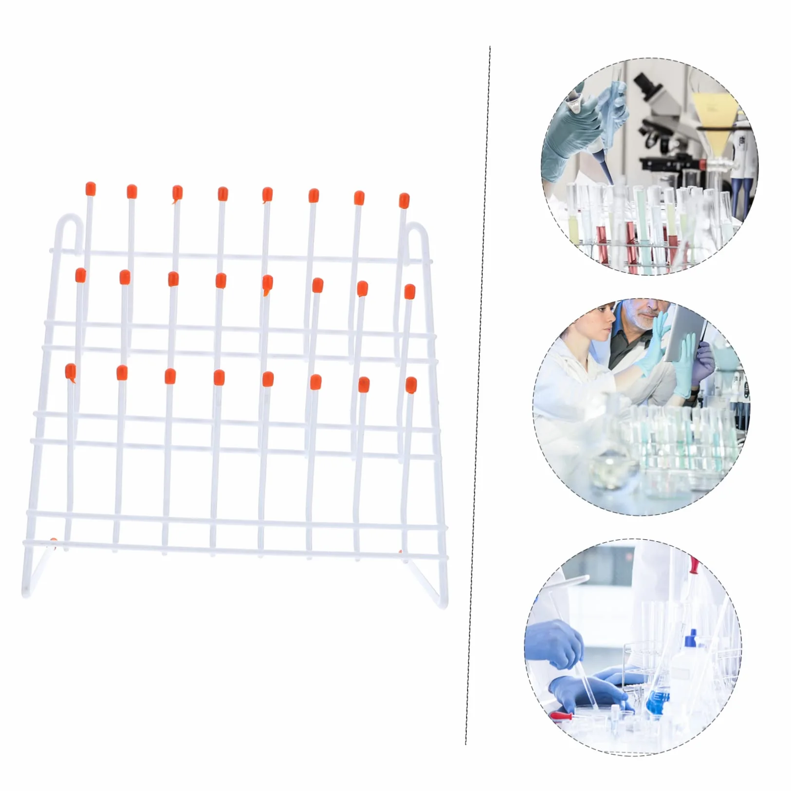 Soporte de Secado para Tubos de Ensayo y Vasos de Laboratorio de Hierro Blanco