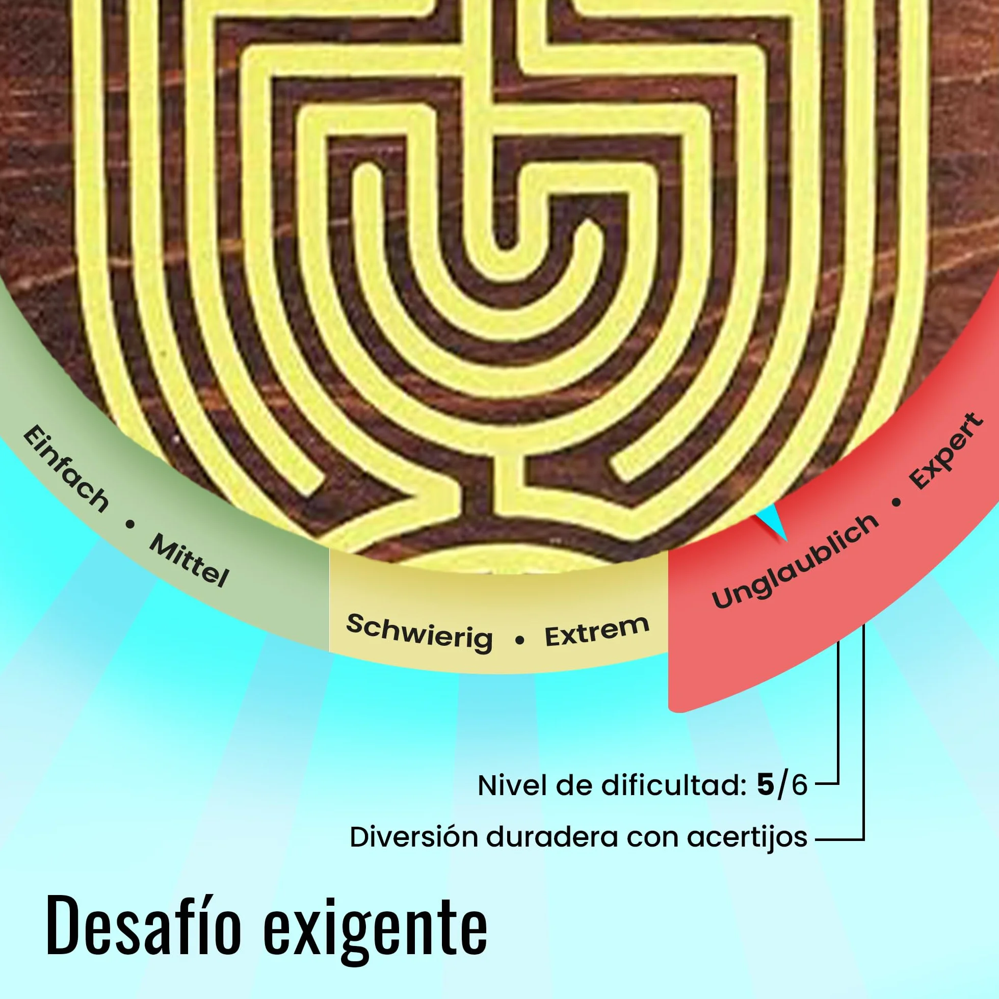 Logica Juegos Cofre Laberinto Rompecabezas de Madera Caja Secreta Dificultad 5/6 Colección Leonardo da Vinci