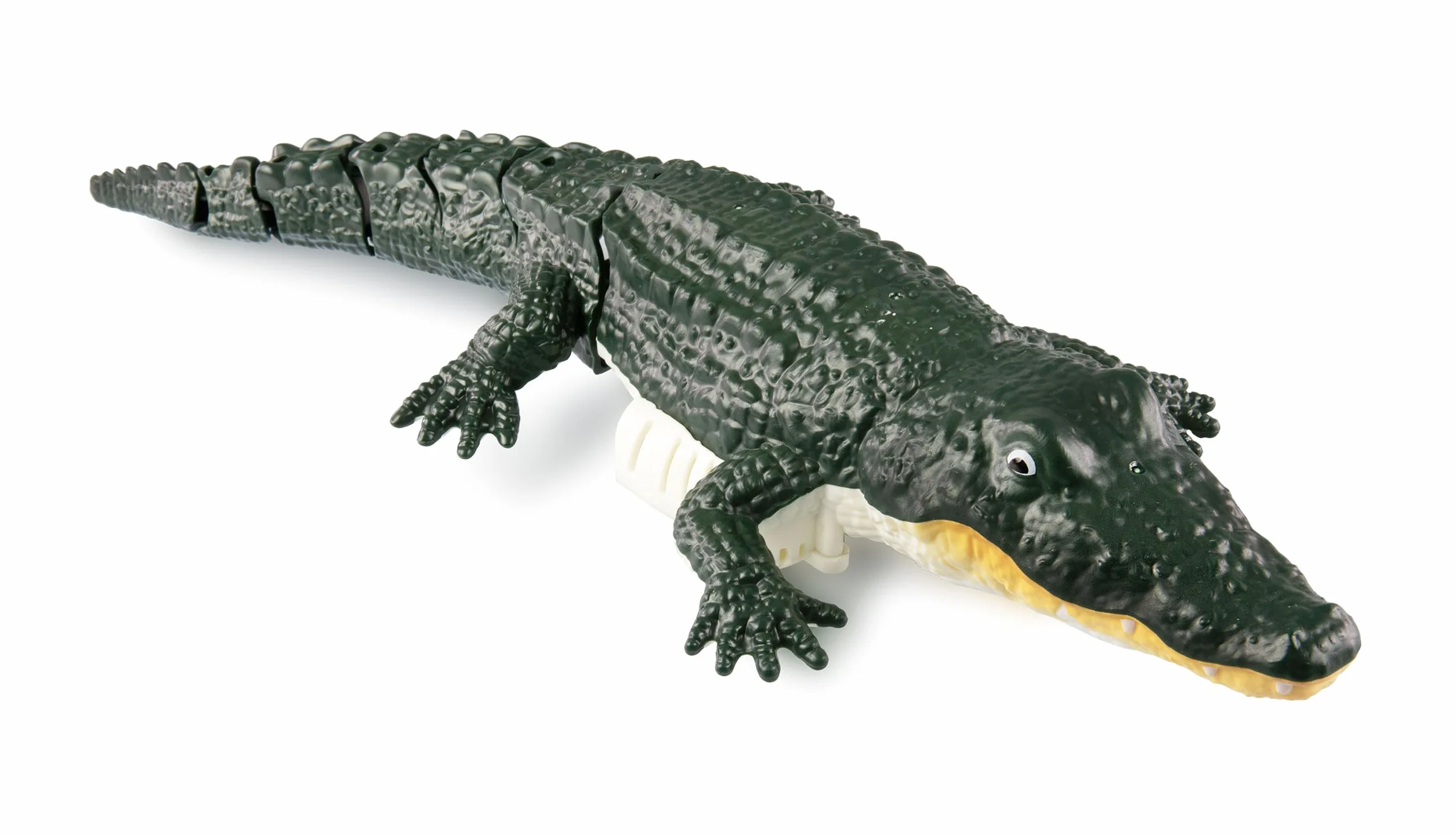 Amewi Croco Le Petit Cocodrilo 370 mm 4 Canales RC Control Remoto RTR Verde