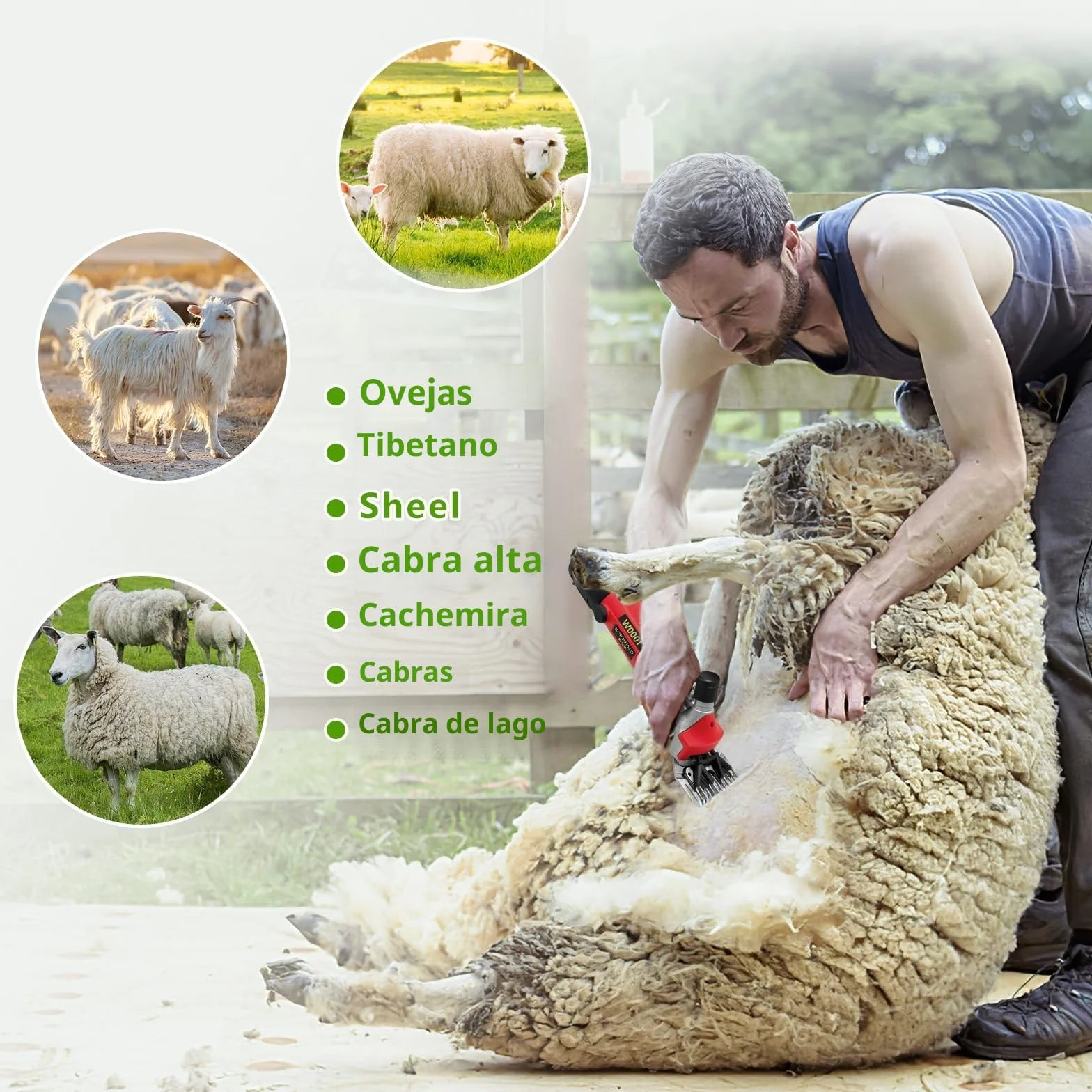 1000W Esquiladora Ovejas, Esquiladora Eléctrica con 6 Velocidades Ajustables, Cortapelos Eléctrico con Estuche de Transporte, Máquina de Esquilar Eléctrica para Ovejas Ovino Alpacas Cabras
