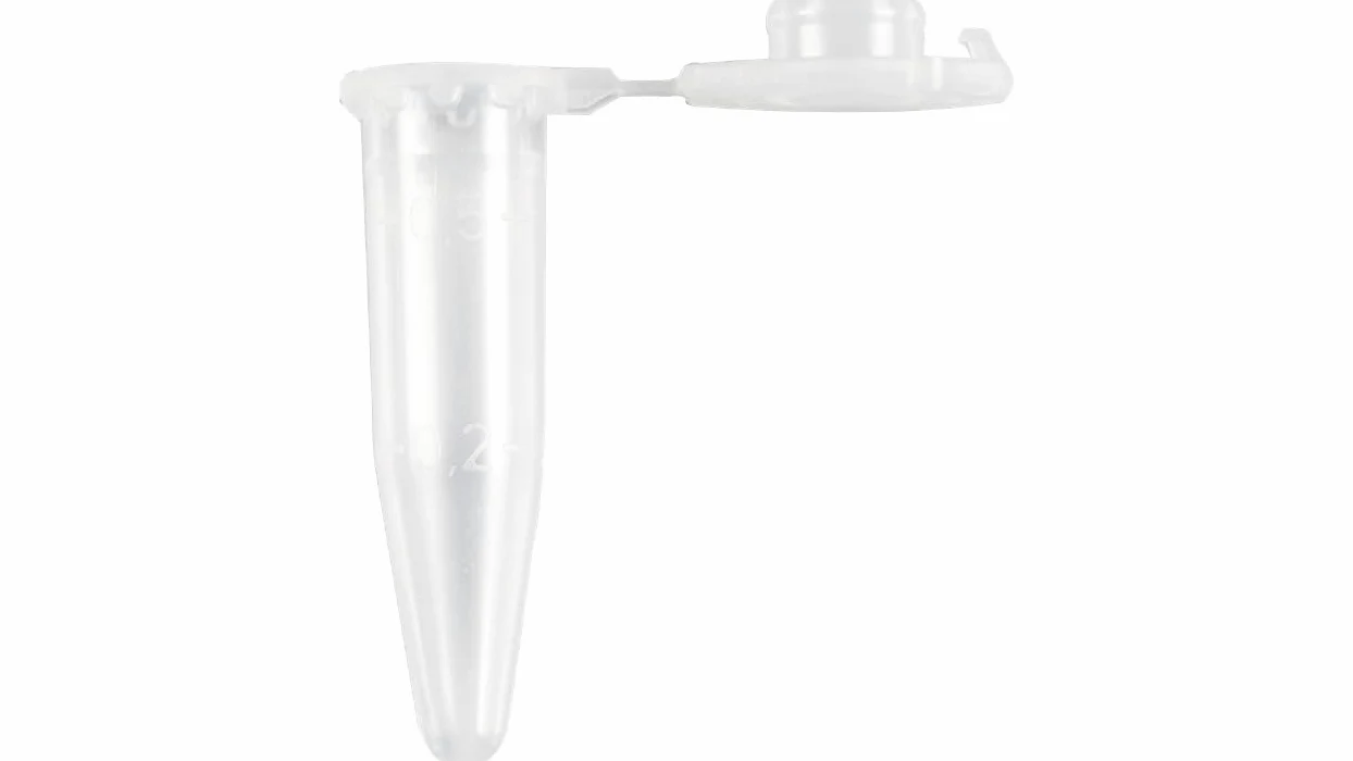 neoLab EcoLab - Vasos de reacción de polipropileno (1000 unidades, 0,5 ml, estéril), transparente