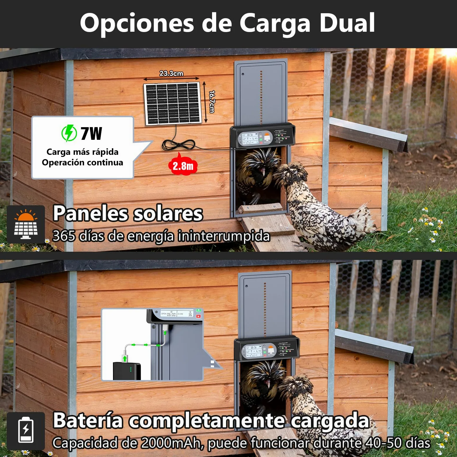 CHAMUTY Puerta Automática de Gallinero con Pantalla, Control Remoto, Aluminio, Resistente a Condiciones Climáticas Extremas