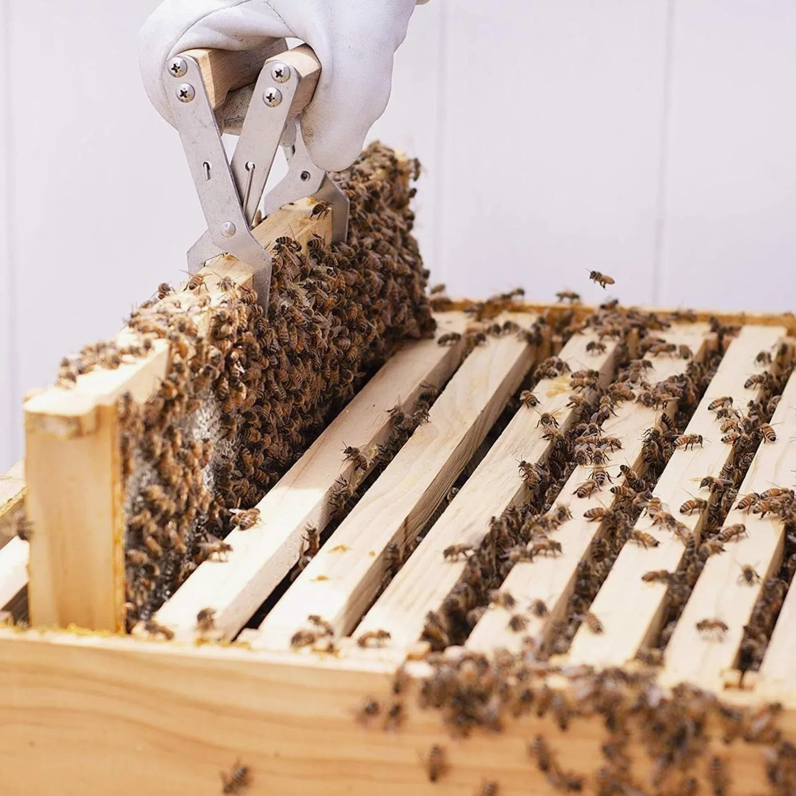 Kit de herramientas for miel de apicultura, 10 piezas, Kit de apicultor principiante y profesional, guantes de apicultor/cepillo for abejas/alimentador de abejas