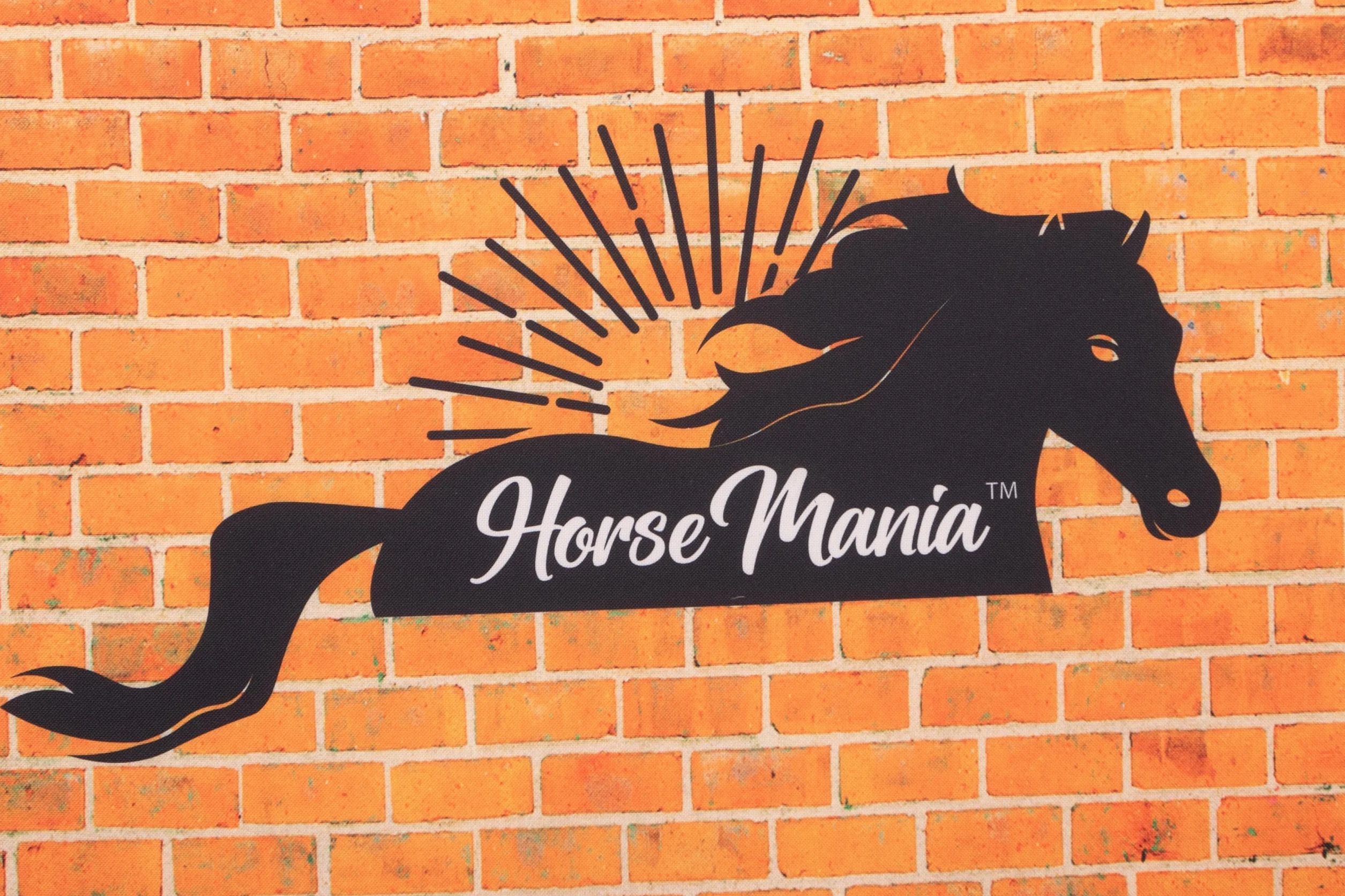 HorseMania Torneo Muro para Caballo – Pared de Espuma 110x40x50 Entrenamiento Rebote Movilidad