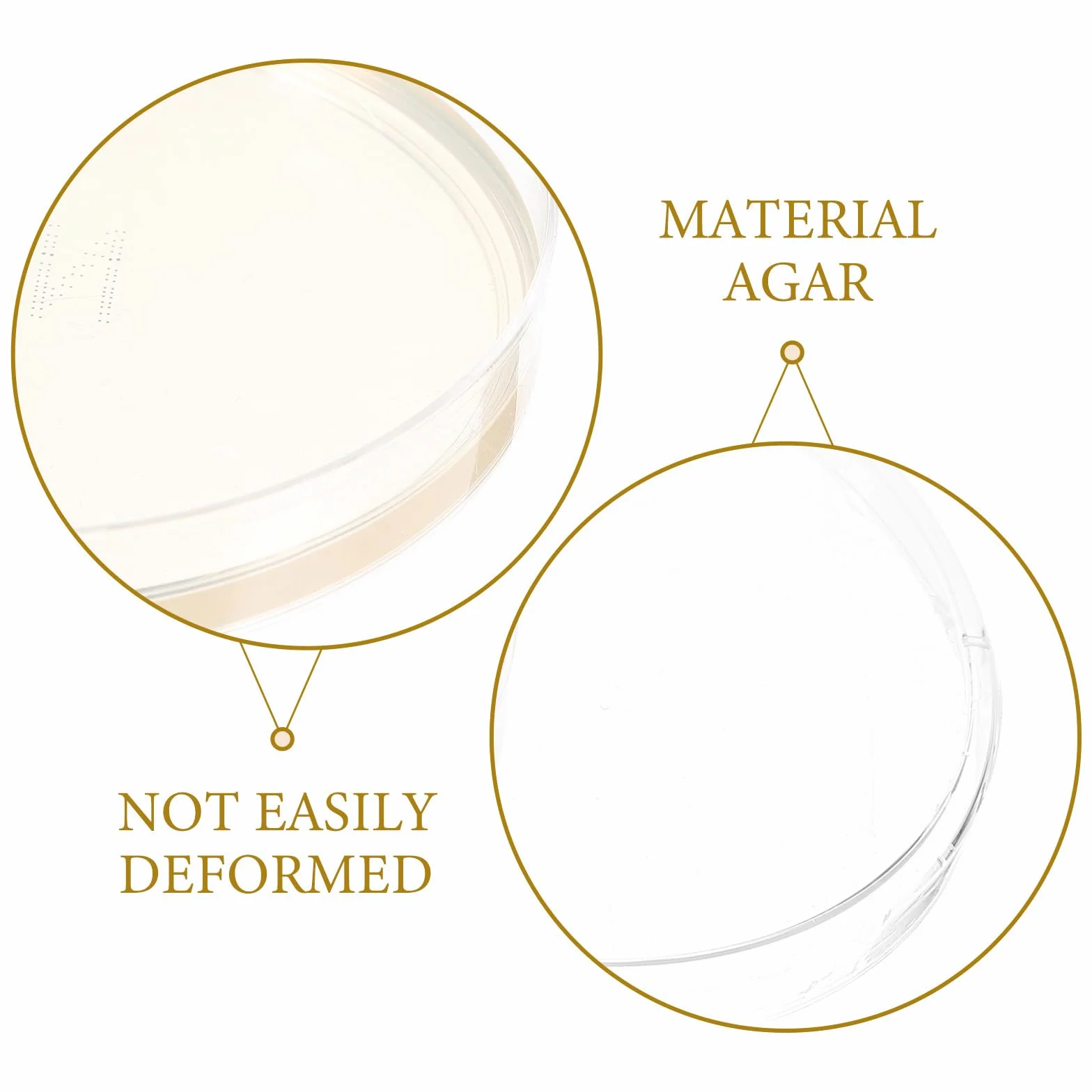 Didiseaon 10 placas de agar preparadas: placas de Petri con agar de 90 mm, kit de cultivo de placas de Petri para experimentos científicos de laboratorio