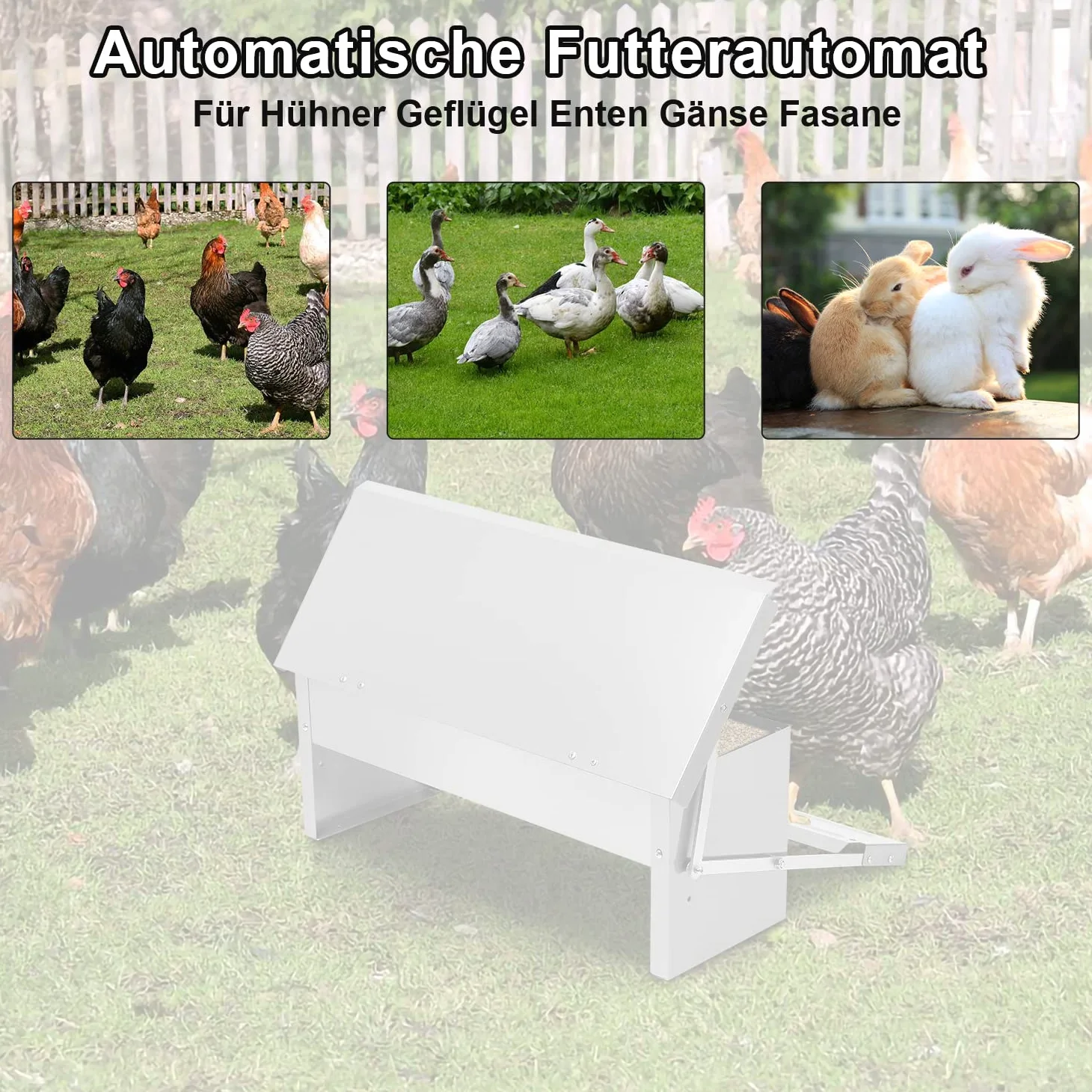 Randaco 3 comederos automáticos para pollos de acero galvanizado, 5 kg, comedero con pedal automático y manta resistente al agua