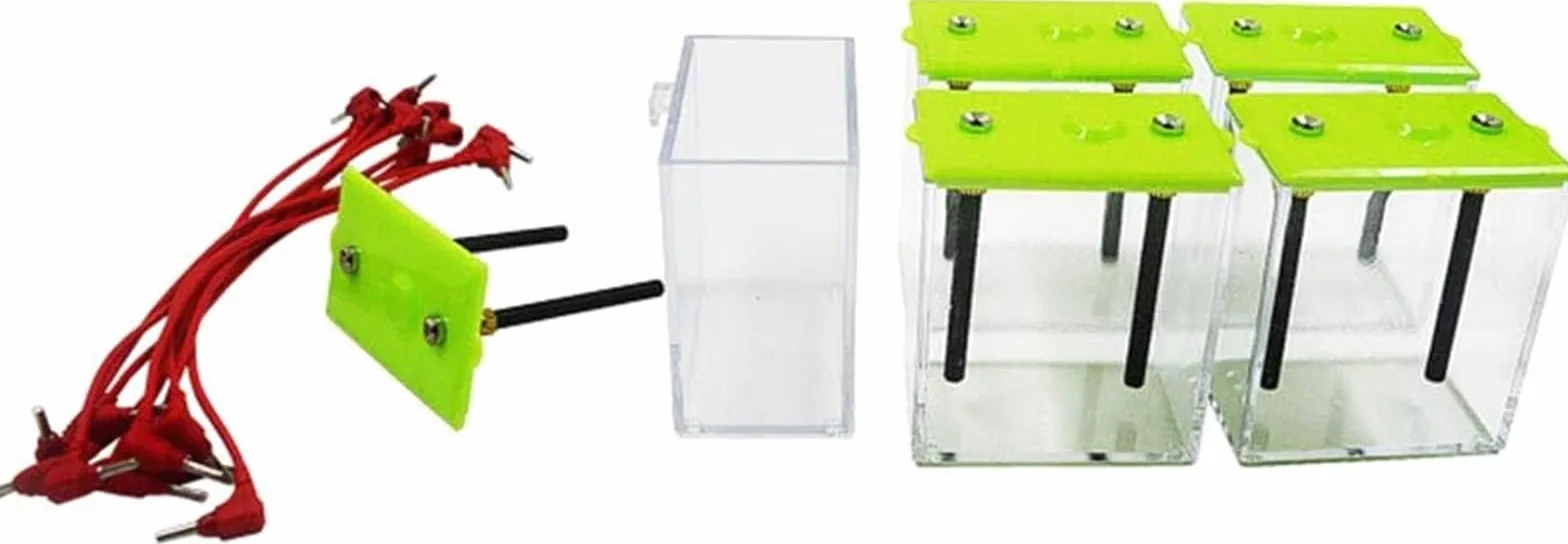 Demostrador De Conductividad Electrolitos 12 V CA, Probador Solución Pantalla LED Electrodo Grafito, Instrumento Enseñanza Experimental