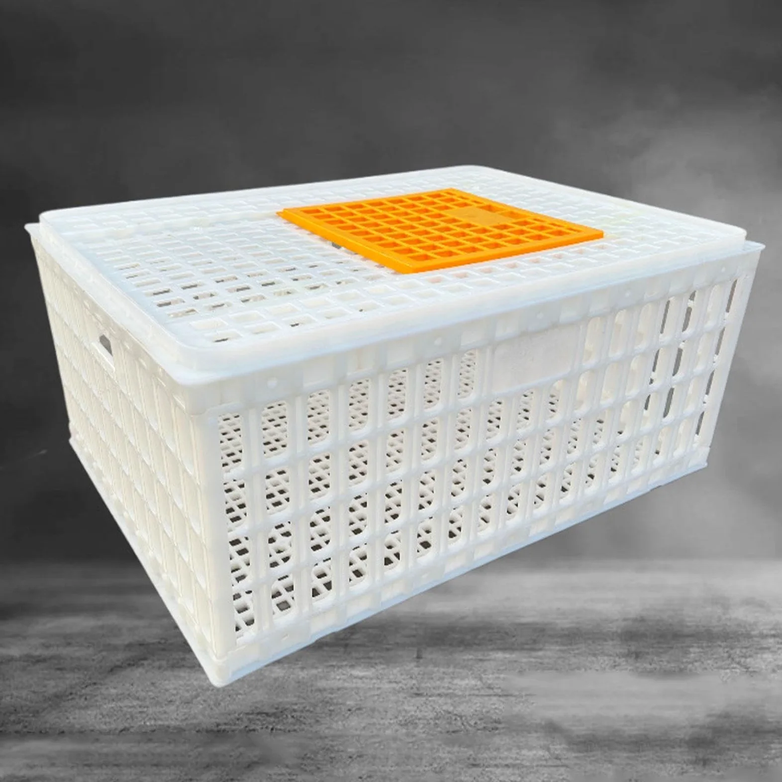 Jaula Transportadora para Aves de Corral, Jaula Transportadora para Pollos Adultos, Gansos Y Otras Aves, Blanco Altura 33cm
