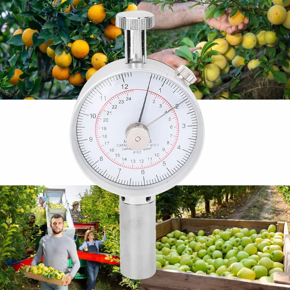 Penetrometro Fruta, Penetrómetro de Fruta Esclerómetro, GY-3 Penetrómetro de Firmeza de Fruta, PenetróMetro de Mano de Frutas con 2 Cabezales de MedicióN, para Determinar el Nivel de Madurez de Fruta