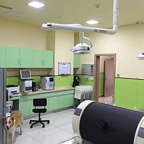 Topchances Lámpara LED de 36 W para cirugía quirúrgica, examen médico, sin sombras, CE