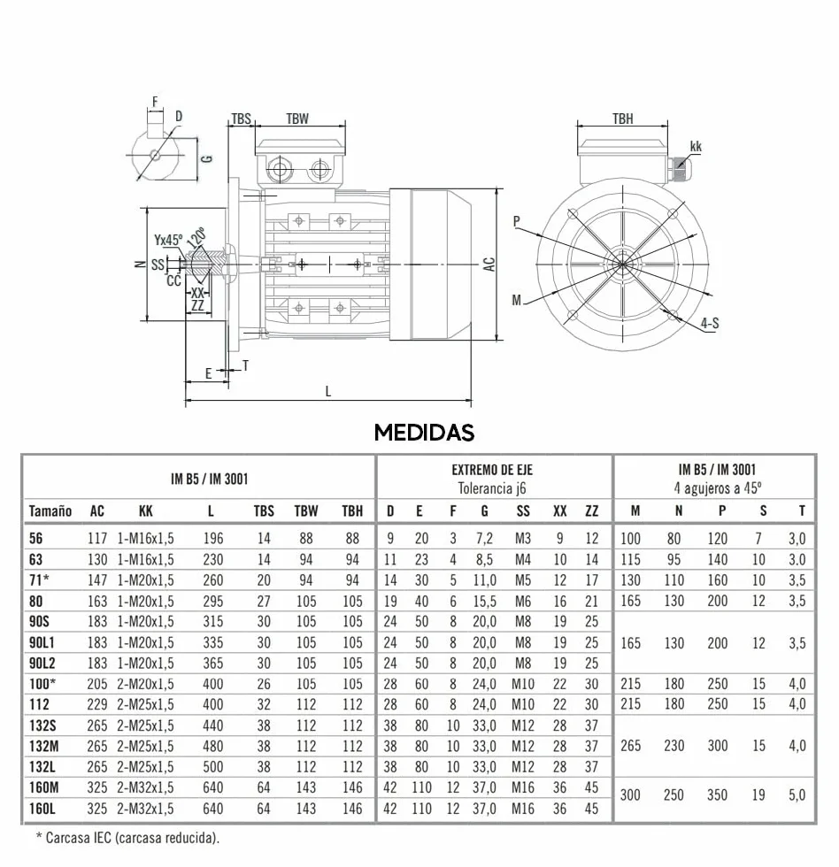 MOTOR ELECTRICO CEMER TRIFASICO 3000 RPM 230/400V 2,2KW / 3CV TAMAÑO 90L Ø DEL EJE 24mm BRIDA B5 200mm