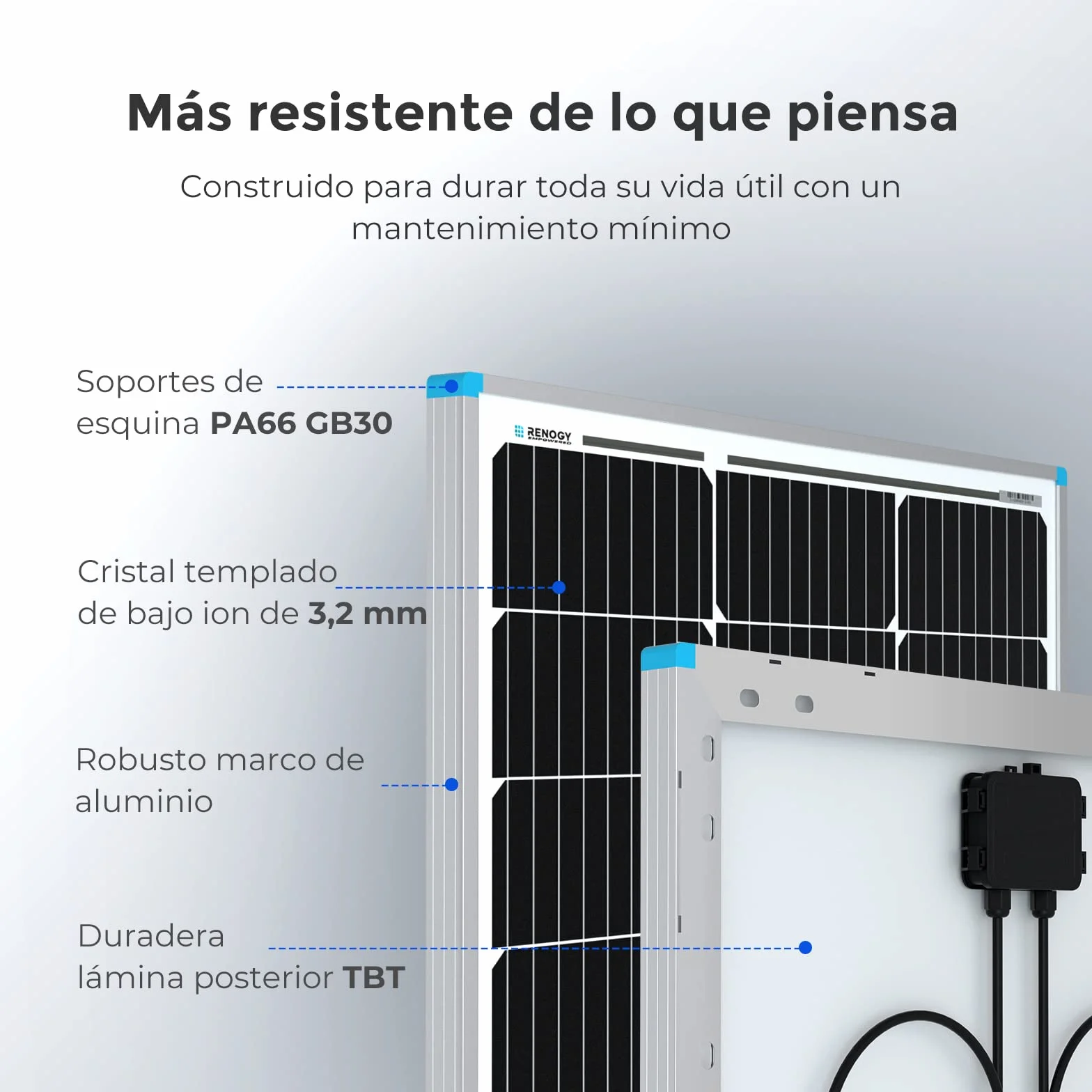 Renogy 2 X Placa Solar 100W 12V (200W), para Casa, para Furgoneta Coche Autocaravana Camping, Módulo Monocristalino para Cargar Batería