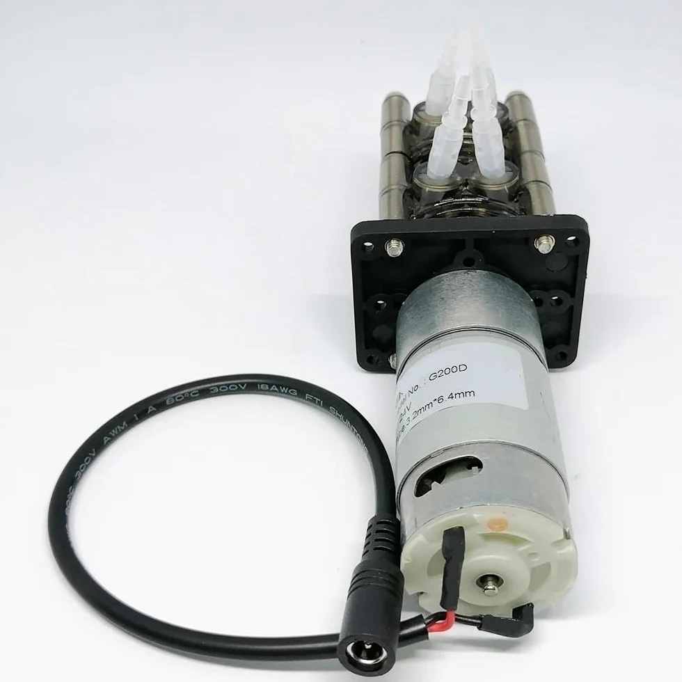 Bomba peristáltica de doble canal, flujo ajustable de 20-200 ml/min, motor con escobillas CC, bomba de transferencia de líquidos industrial y de laboratorio