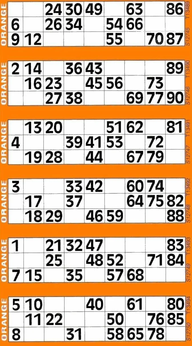 Jumbo Bingo Tickets Pads 6 to View Orange