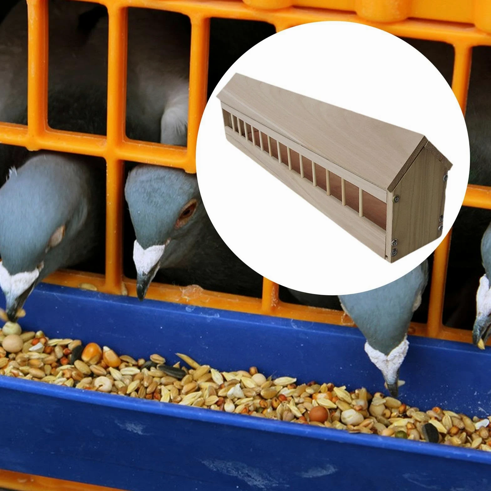Comedero para Palomas Comedero para Pollos Plato para Aves de Corral Y Alimentador para Codornices de Madera Resistente para Uso Continuo Adecuado Pa, 80cm