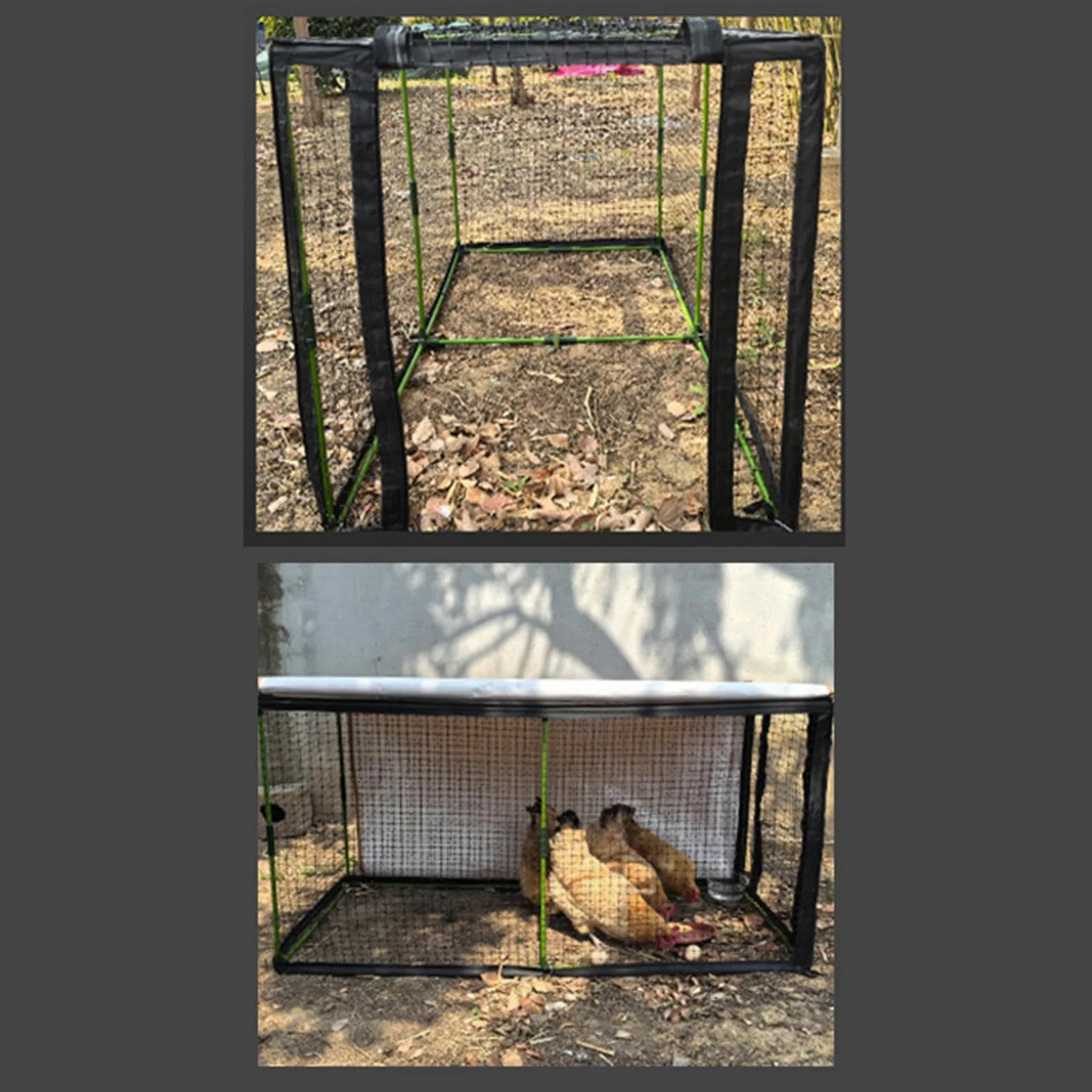 Gallinero Tipo, Resistente al Viento, de rápida instalación, con protección Solar, estaca de Suelo Estable, para Montar Mismo.