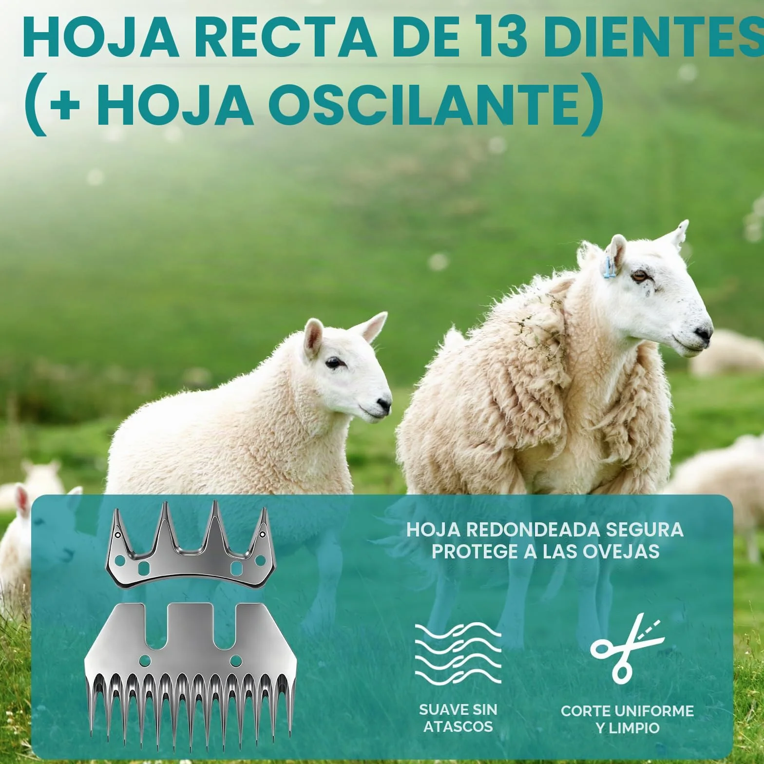 Yofidra Maquina Esquilar Ovejas de 550 W, Esquiladora Inalámbrica con 6 Velocidades, Cuchilla de 13 Dientes, 2 Baterías de 3000 mAh, Esquiladora Profesional para Lana de Ovejas, Cabras y Alpacas