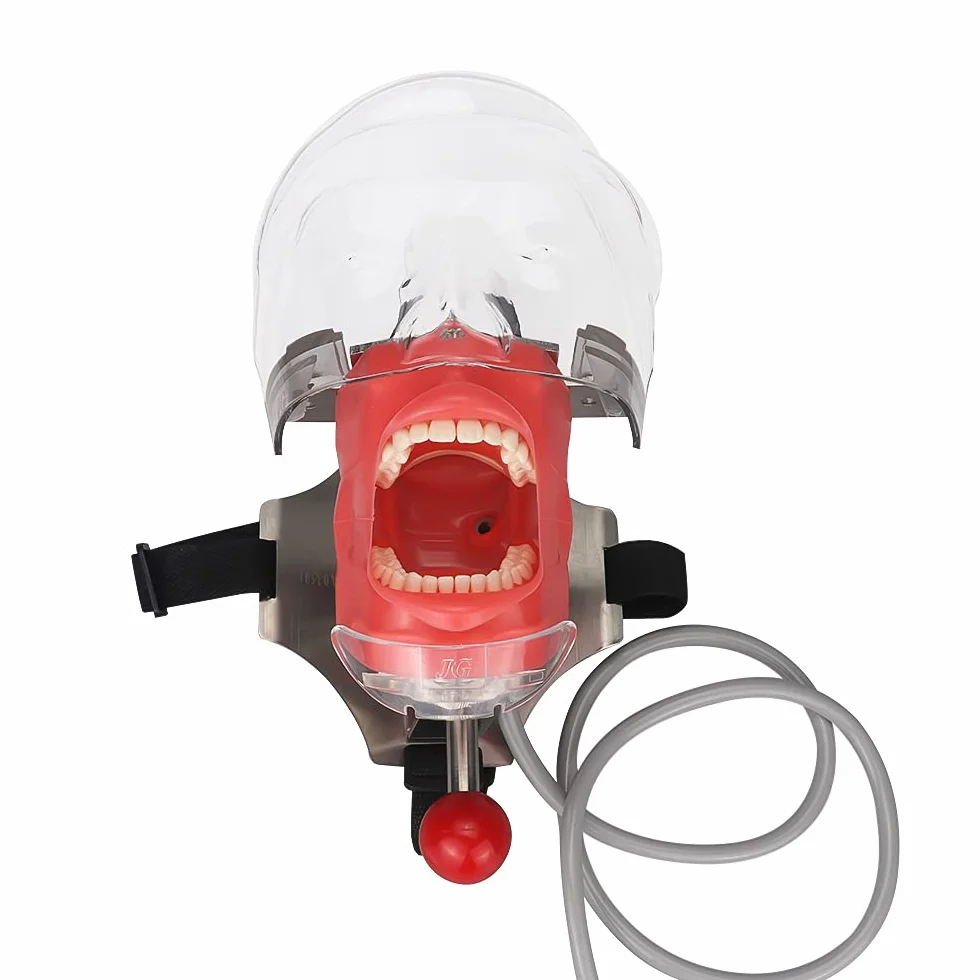 Modelo manual dental de la cabeza del fantasma del simulador del maniquí para el reposacabezas dental de la silla