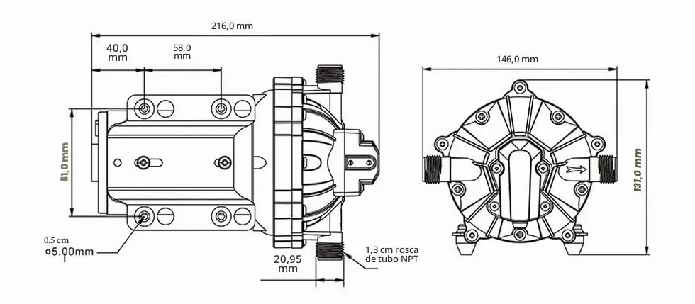 SEAFLO bomba de diafragma serie 55 - 12V CC, 5.5 GPM, 60 PSI con INTERRUPTOR DE PRESIÓN DE TRABAJO PESADO