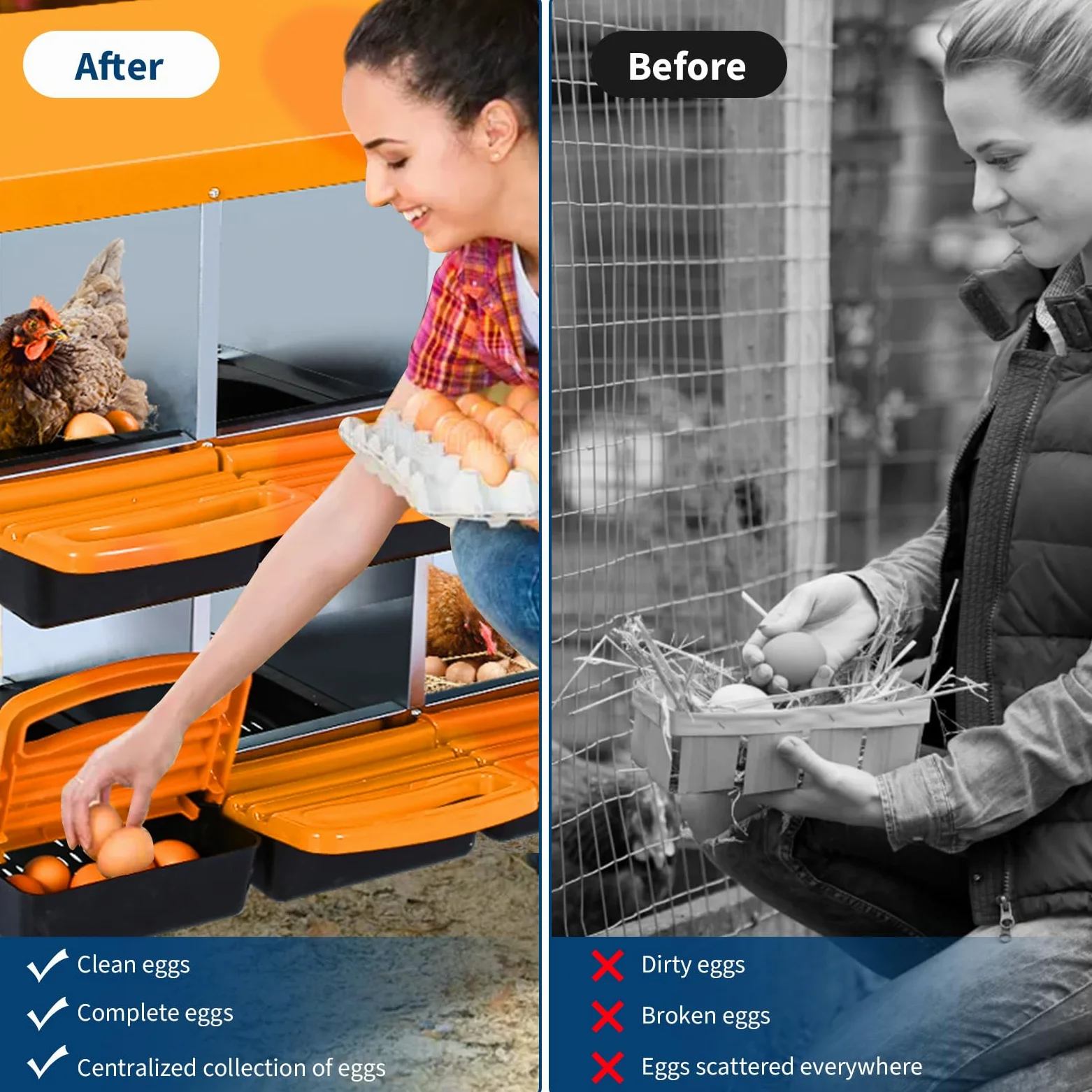 Pondero para gallinas con compartimentos – Nidera gallina de acero galvanizado Techo inclinado resistente al agua Bandeja extraíble – Espacioso espacio para gallinas ponedoras patos diferentes razas