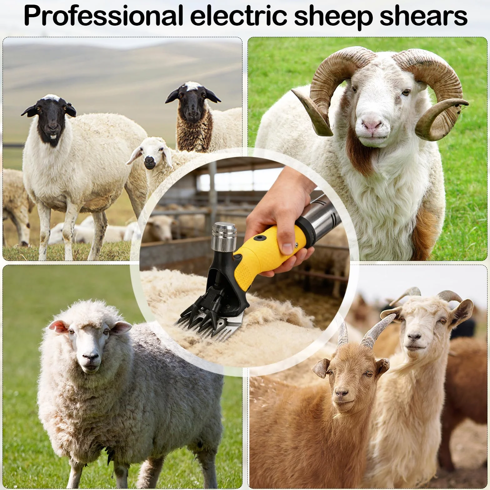 Profesional Esquiladora Ovejas, 850W 2800RPM Cuchilla Recta 13 Dientes Protección Sobrecalentamiento Cable 5M Para Ovejas Alpacas Cabras Eléctrica Potente De Alto Rendimiento