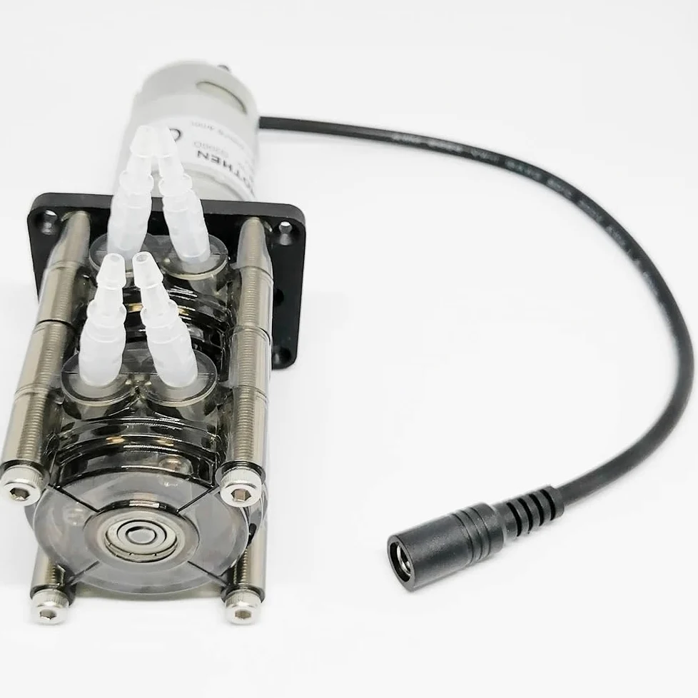 Bomba peristáltica de doble canal, flujo ajustable de 20-200 ml/min, motor con escobillas CC, bomba de transferencia de líquidos industrial y de laboratorio