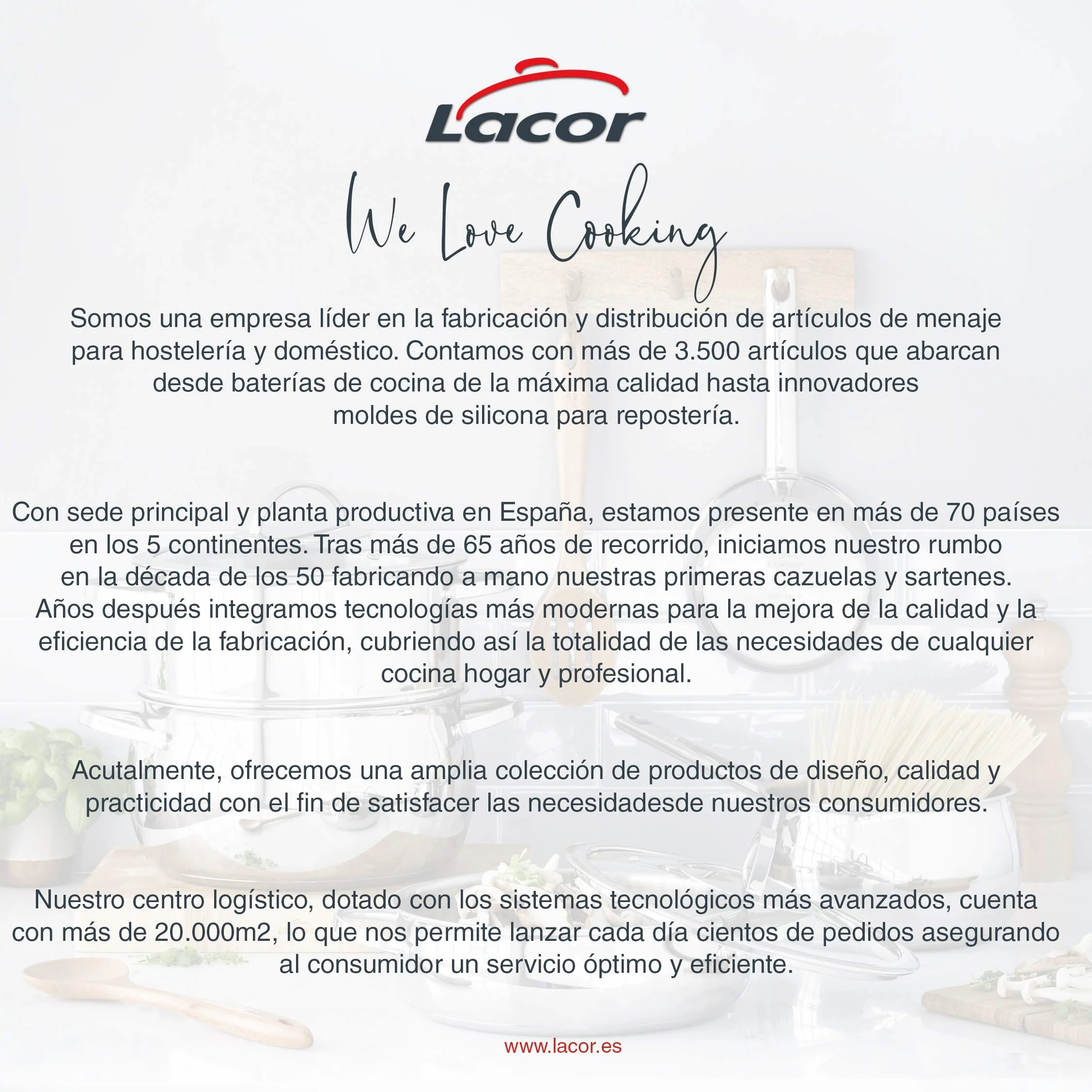 LACOR 50450 Harinero de Acero Inoxidable, Tamizador de Harina, Ideal para harinar o empanar Alimentos, Fácil Limpieza, para Cocinas Profesionales, Plata, 18 x 50 x 26.5 cm