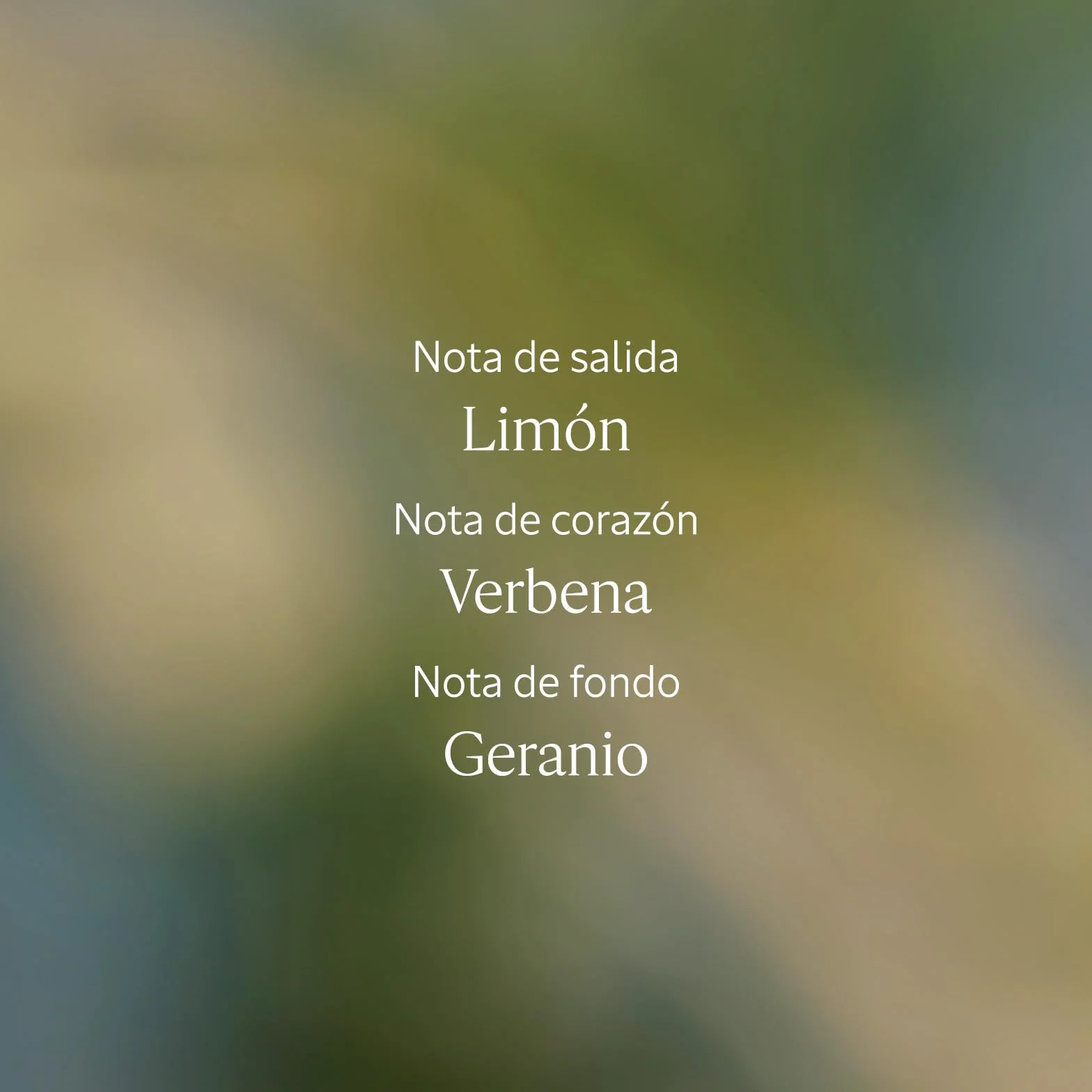 L'OCCITANE Crema de manos Textura Ligera Francia