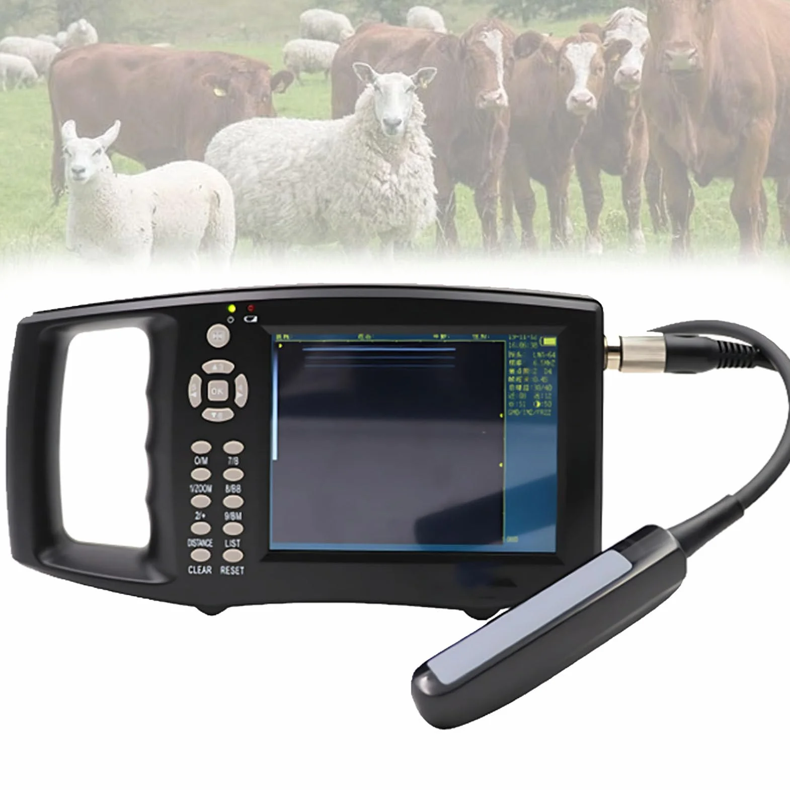 EcóGrafo Veterinario, EcóGrafo Veterinario PortáTil, con Sonda De 3,5/6,5 MHz para Cerdos, Ovejas, Cabras Y Perros C