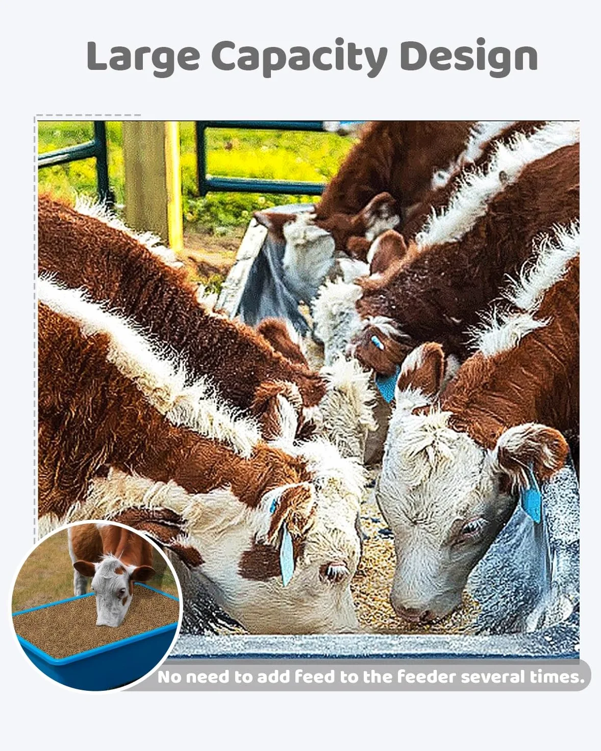 Comedero para Cerdos Comedero y Bebedero de Grano para Ovejas, Gran Capacidad (paquete de 2 O 4 Unidades), Comedero para Terneros, Cerdos y Ganado, Fácil de Limpiar, Comedero para Caballos y Alpacas.(
