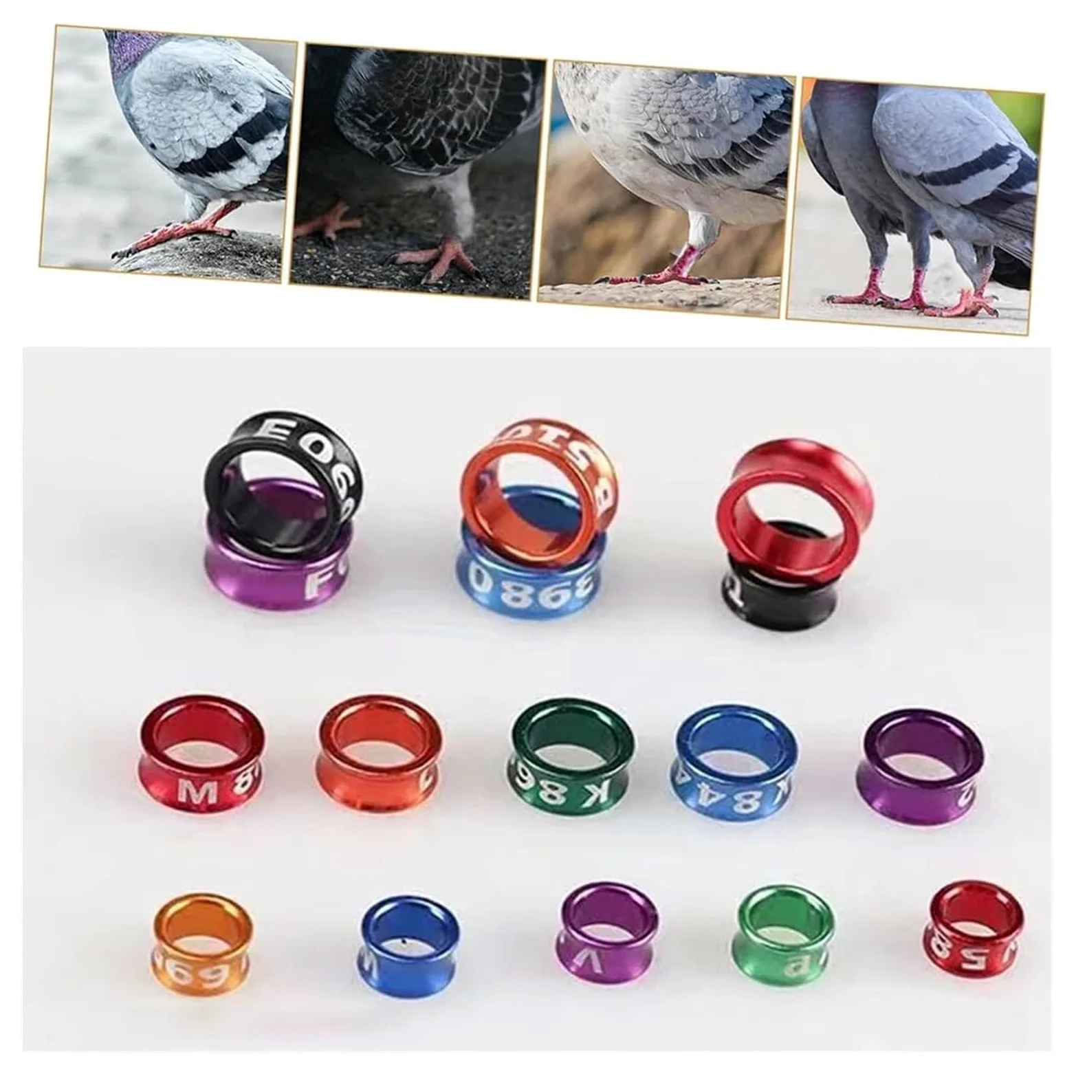 Anillas Abiertas para Aves, Diámetro Multicolor de Aluminio 4mm-8m m los Anillos la Pierna identificación Paloma(Mixed Colors8.0mm,200pc)