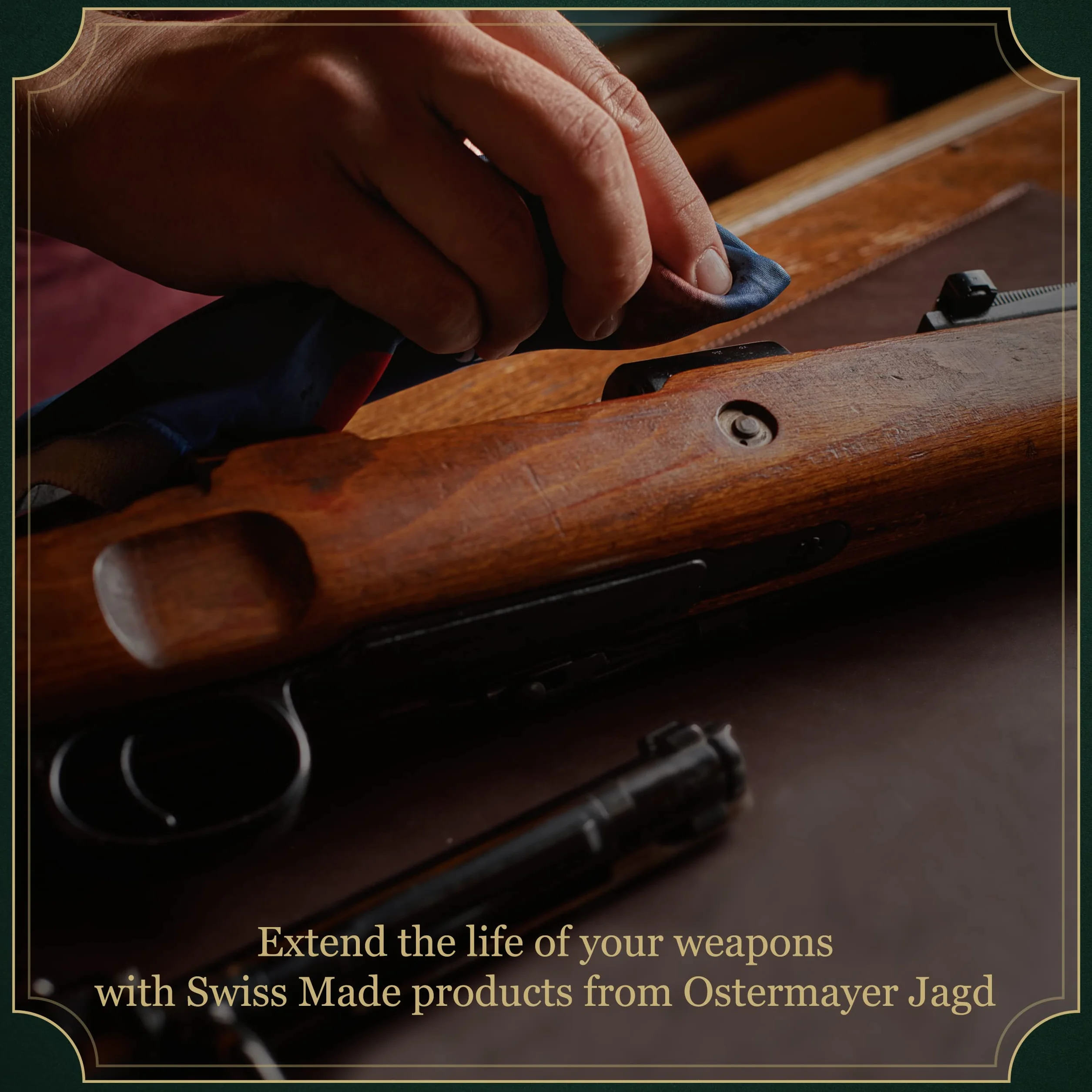 Gun Stock Finish 100 ml