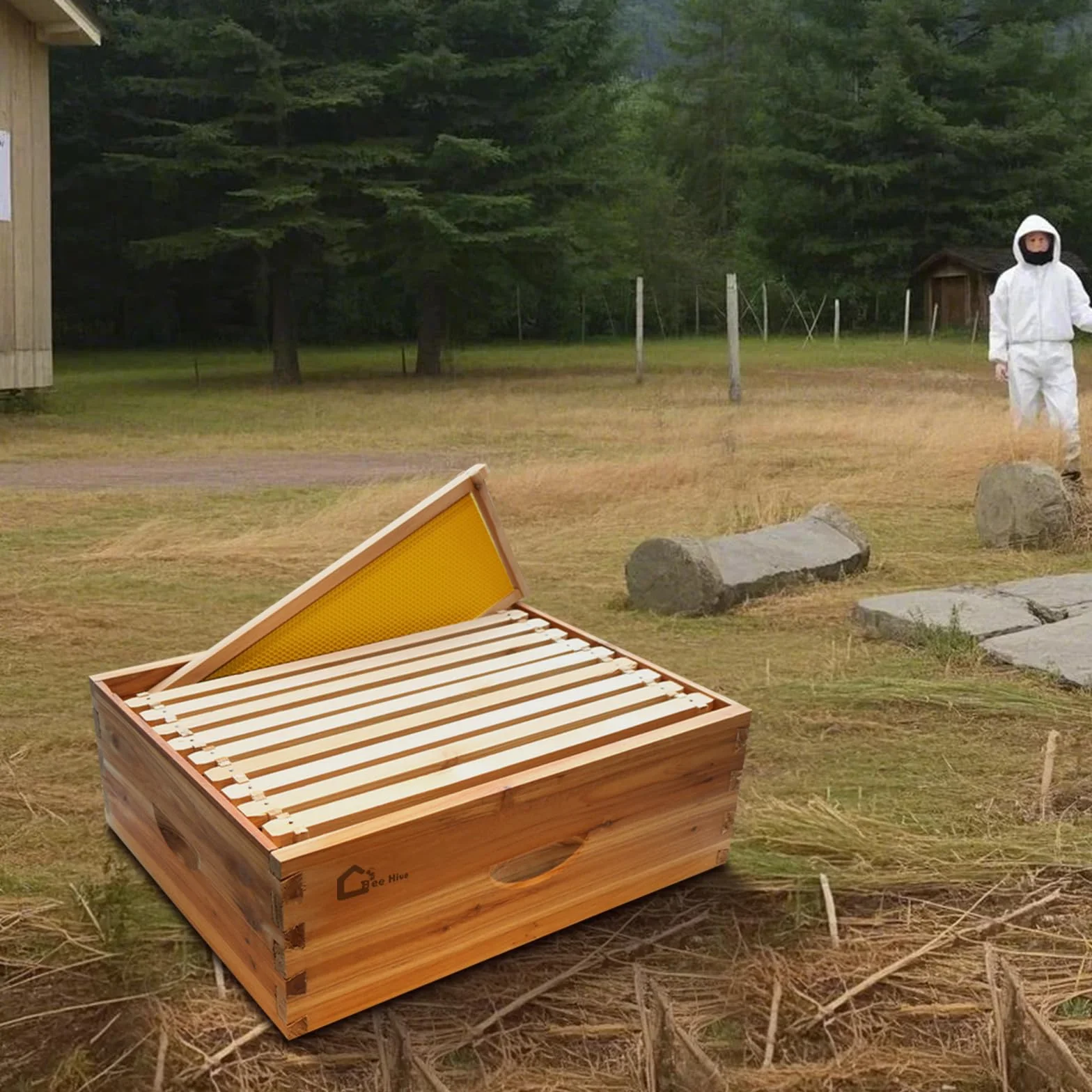 Kit de inicio de colmena, caja de núcleo con 10 panales medianos, colmena de madera maciza con marco de madera y base encerada, caja de colmena sostenible suministros de apicultura, colmena 100%